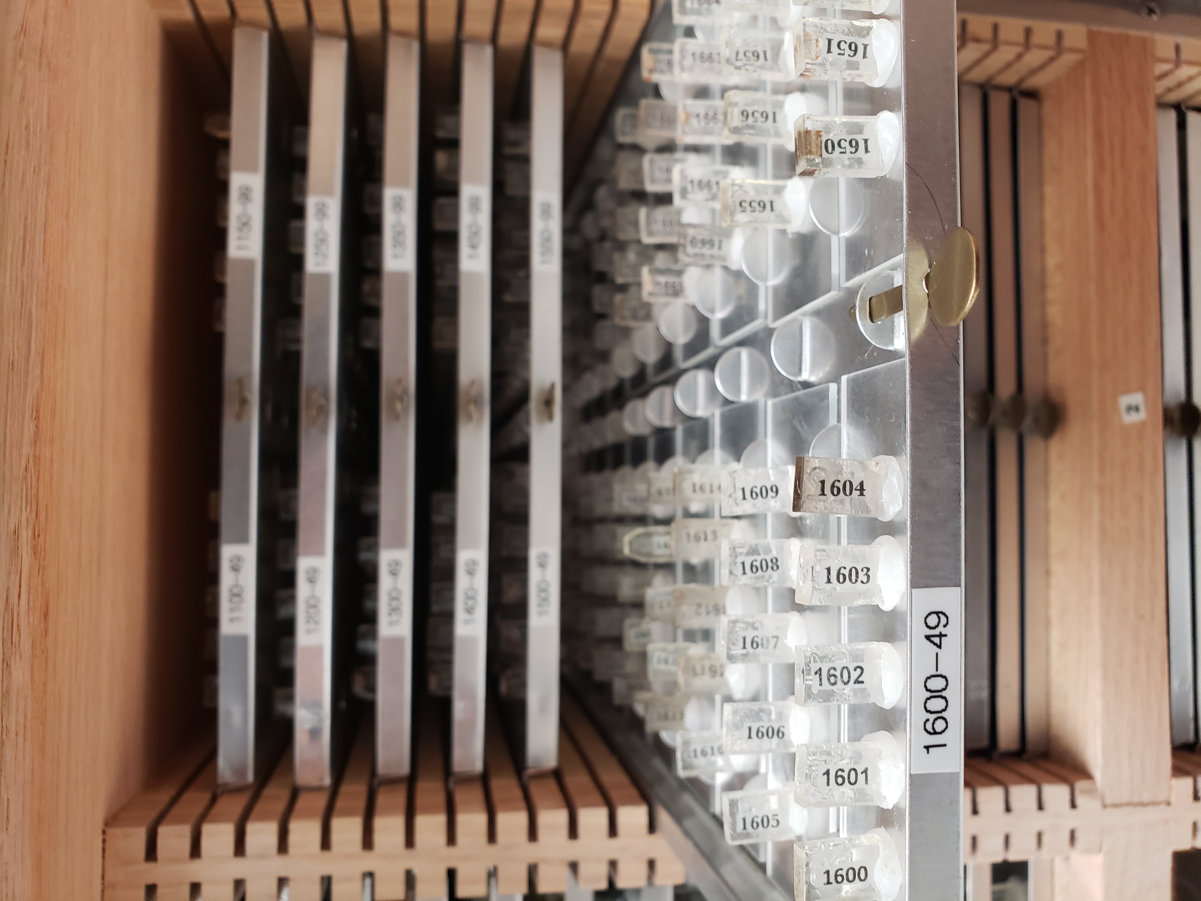 A Tray Of Cross Sections Dating Back To Early 2000s