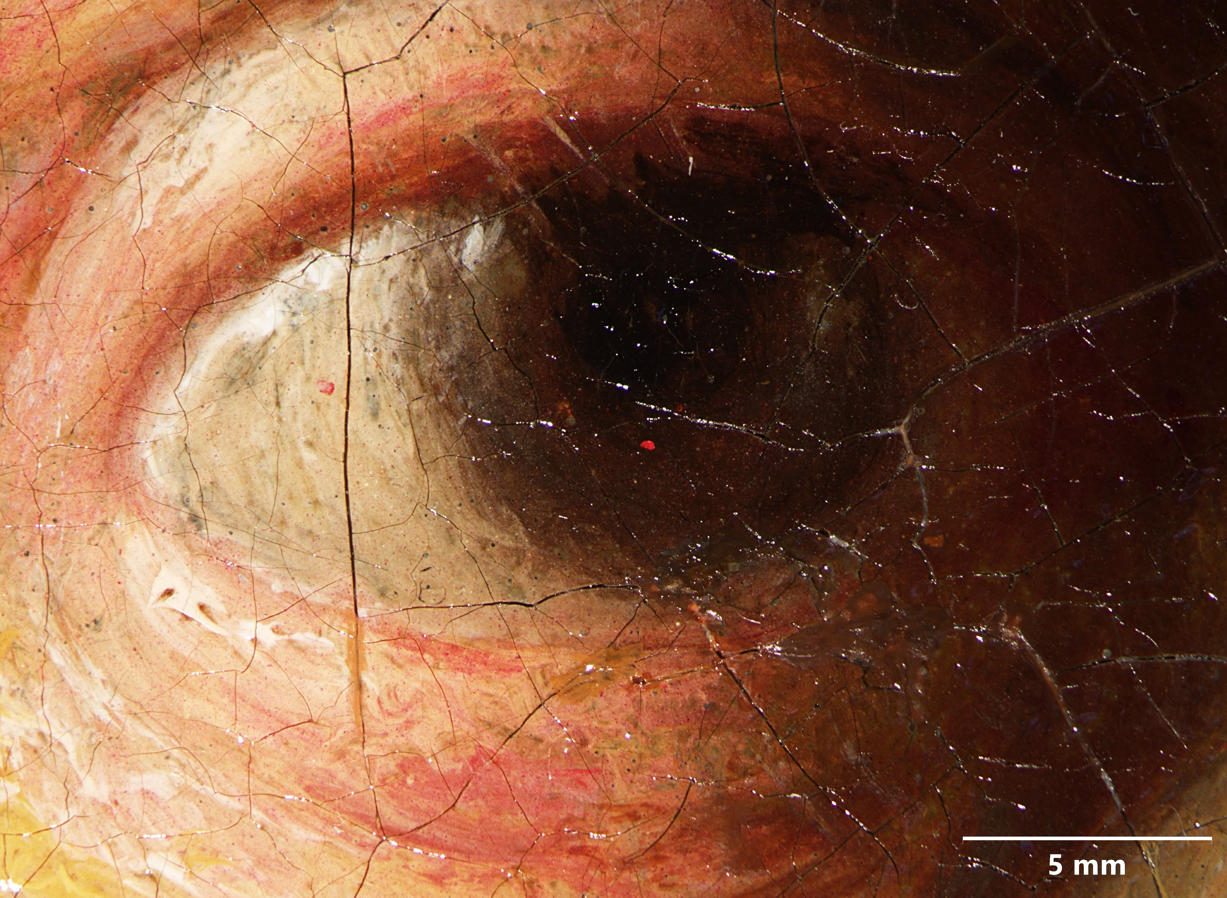 A close-up of the figure's right eye in the canvas copy. The dark-brown eye has just the faintest indication of blond eyelashes.