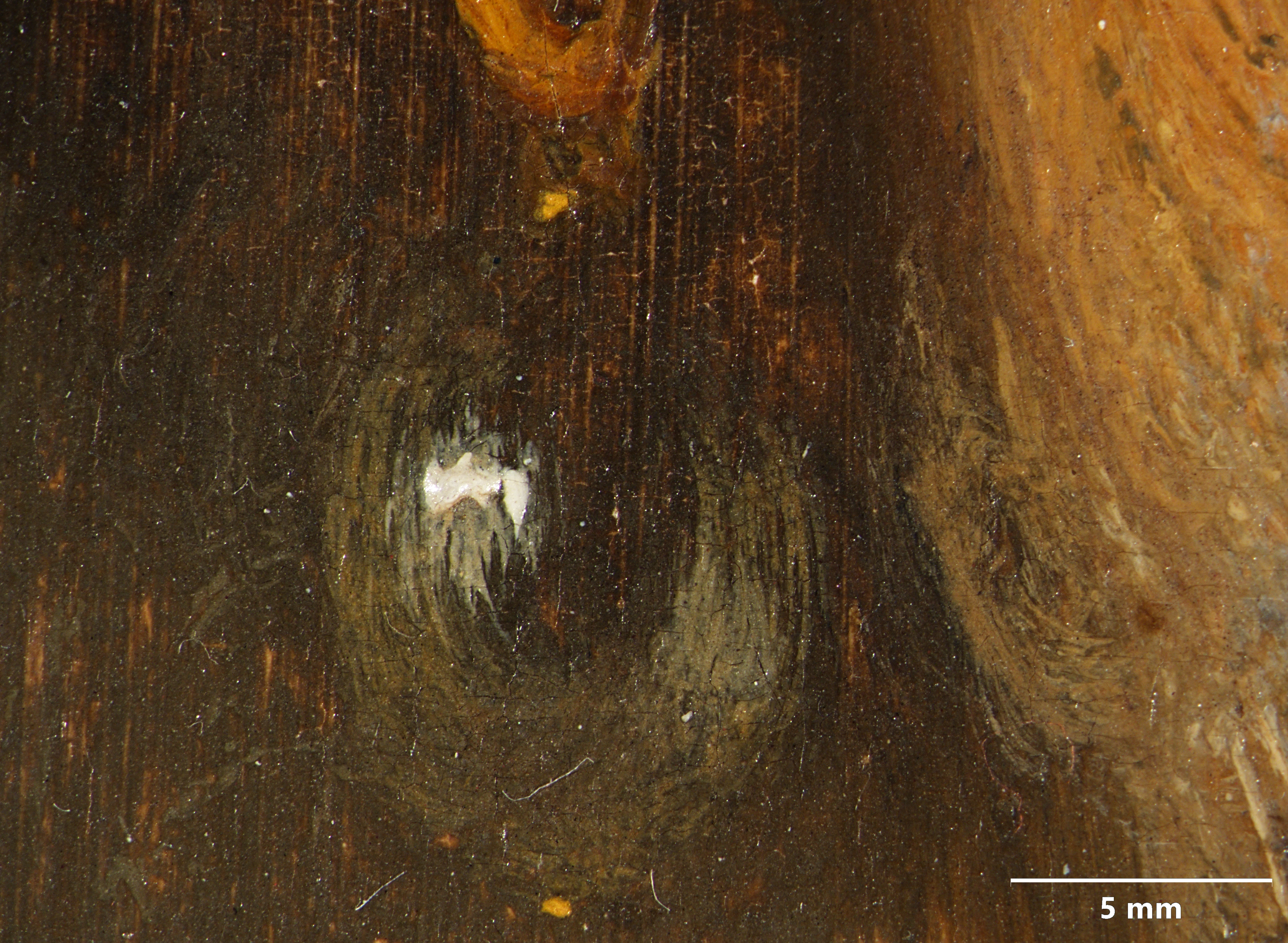 A close-up of the figure's dark pearl earring in the canvas copy. The brushstrokes of the white highlights are visible.