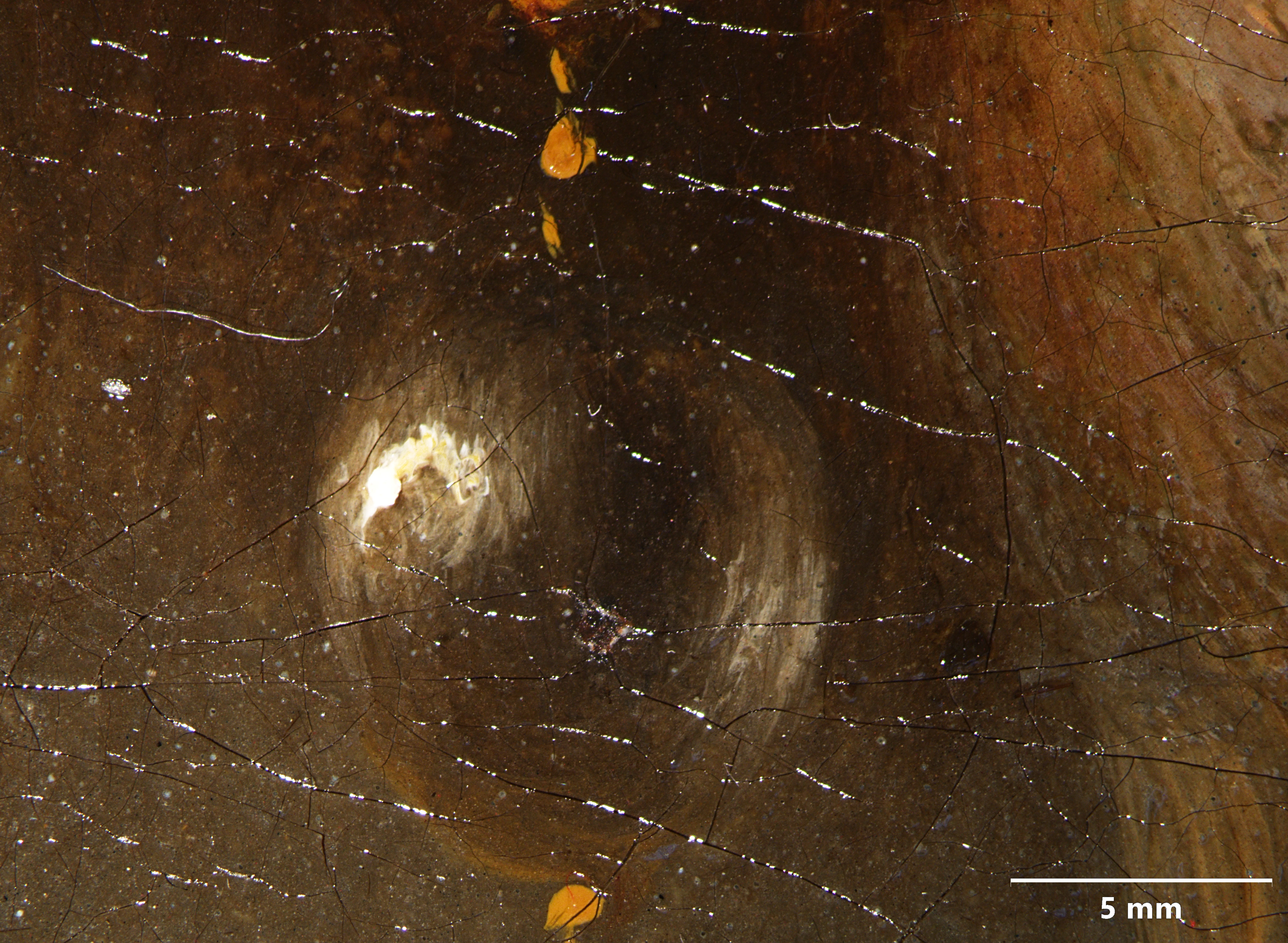 A close-up of the figure's dark pearl earring in the canvas copy. The brushstrokes of the white highlights are visible.