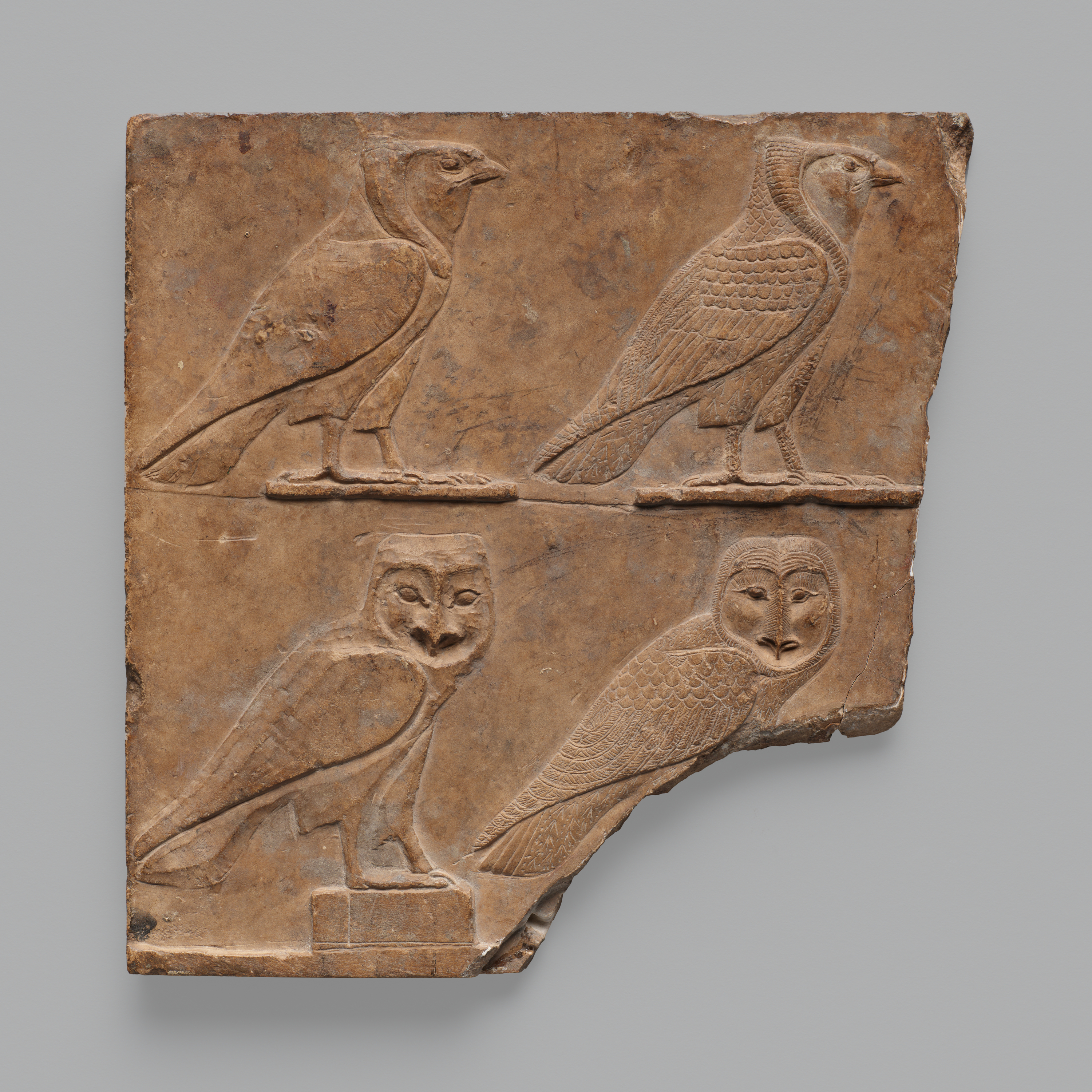 J2384 Int Press 300ppi 3000px Srgb Jpeg