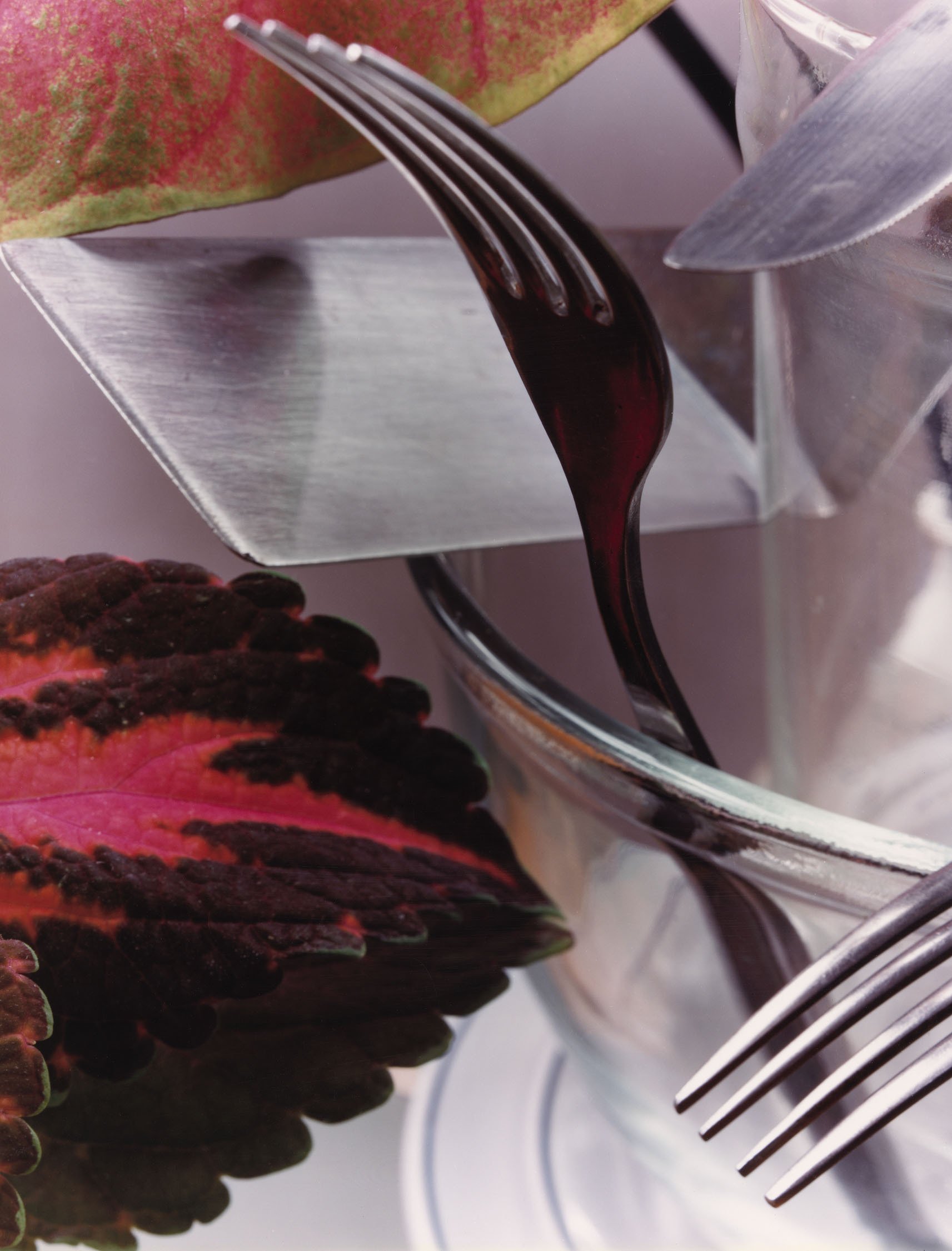 1979.464 Jan Groover