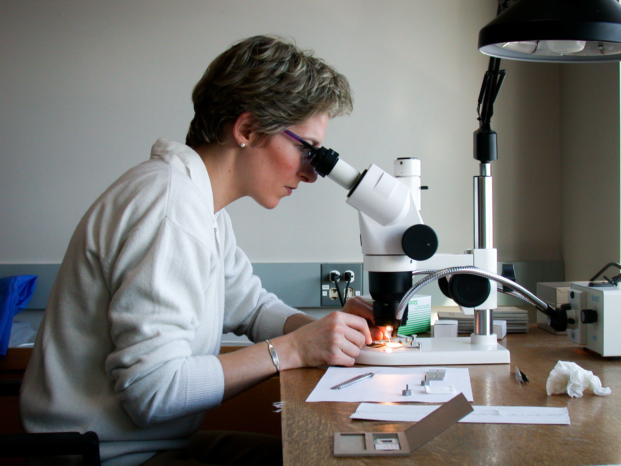 A conservator works at a microscope