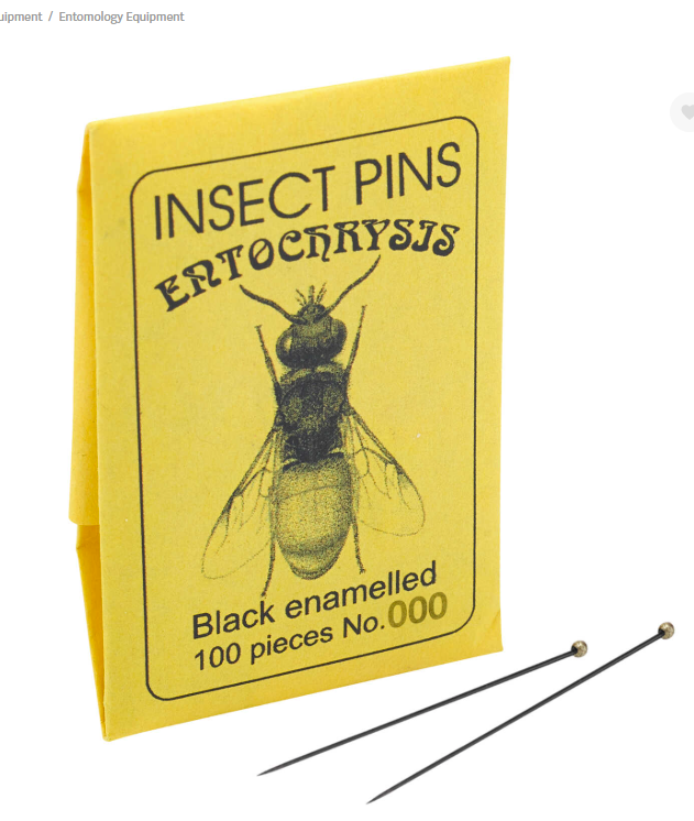 Screenshot 2025 08 27 110503