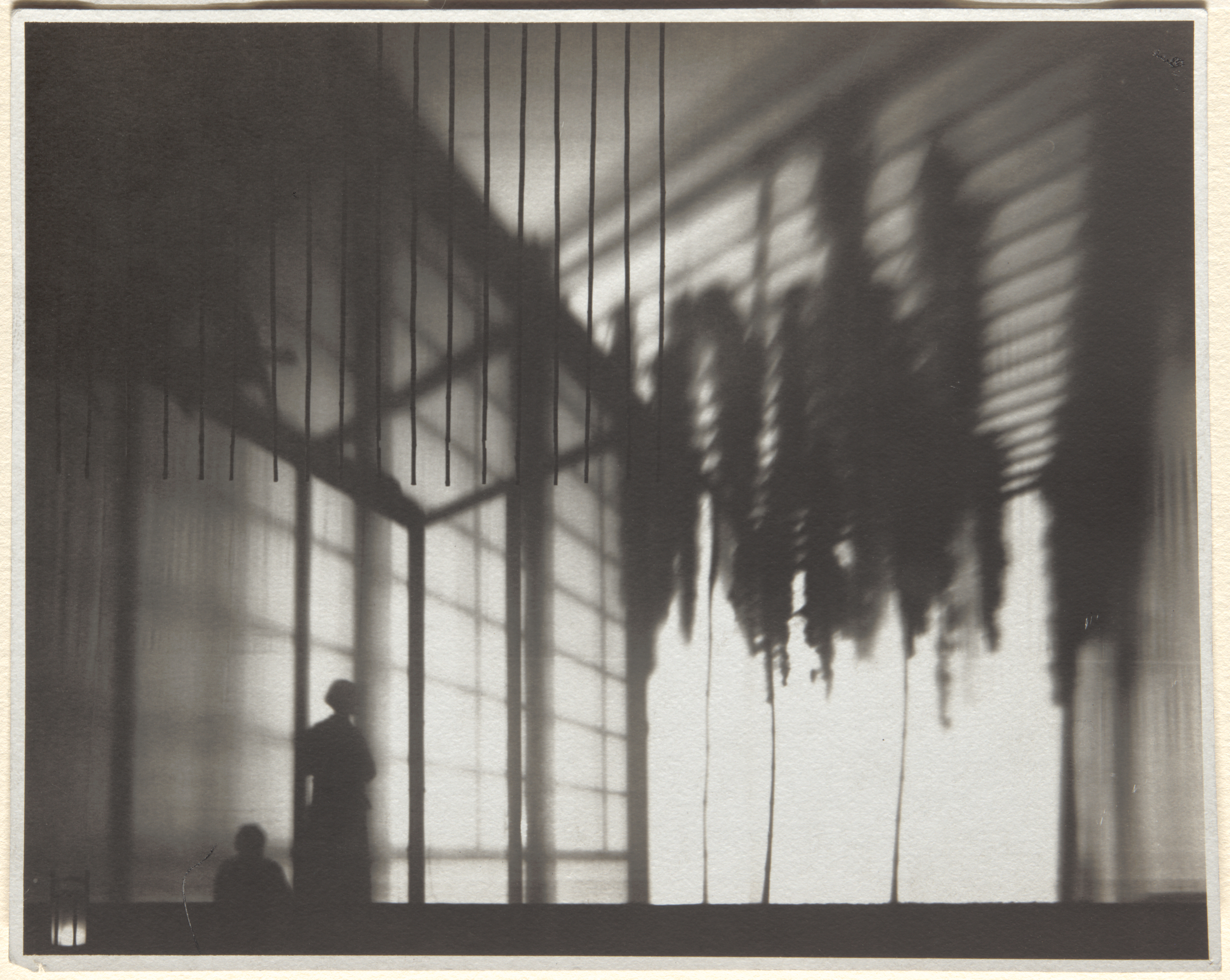 Harry Callahan | The Art Institute of Chicago
