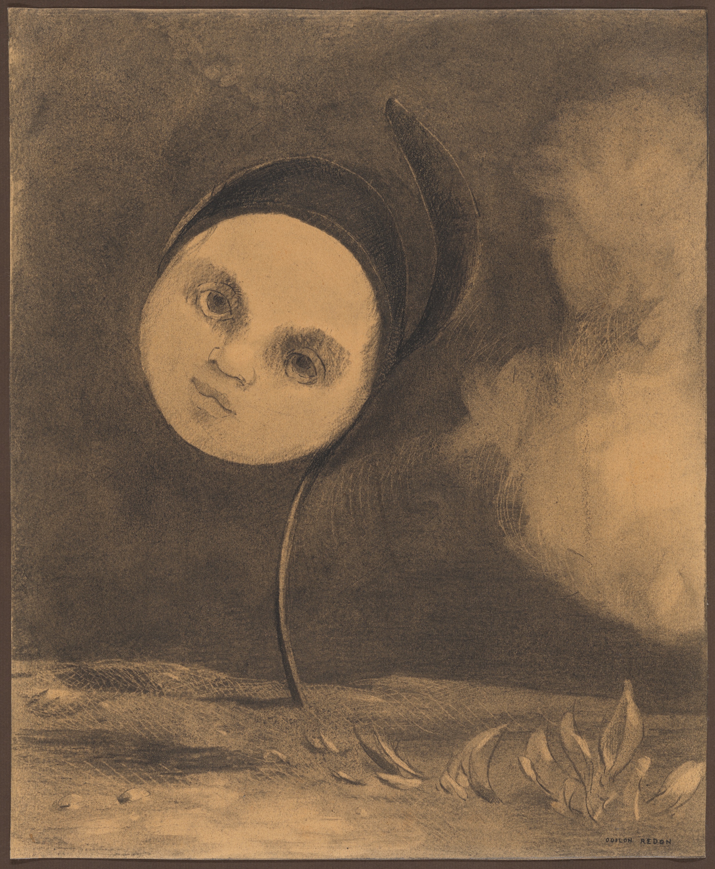 A charcoal drawing on yellowish paper shows a barren landscape against a dark sky. A single stem grows and blossoms into a light-skinned child's head that looks directly at the viewer.