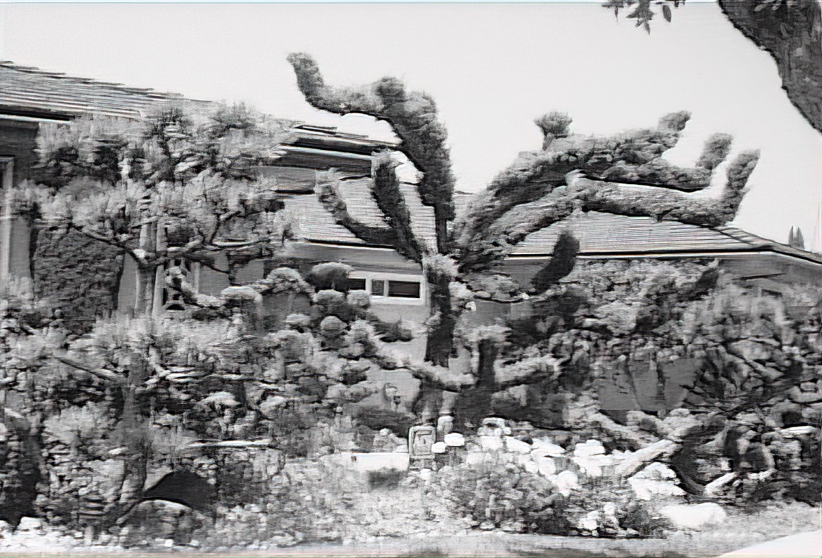 Fiskin End Of Photography 1000 01 46 05 Still001 Gig 1