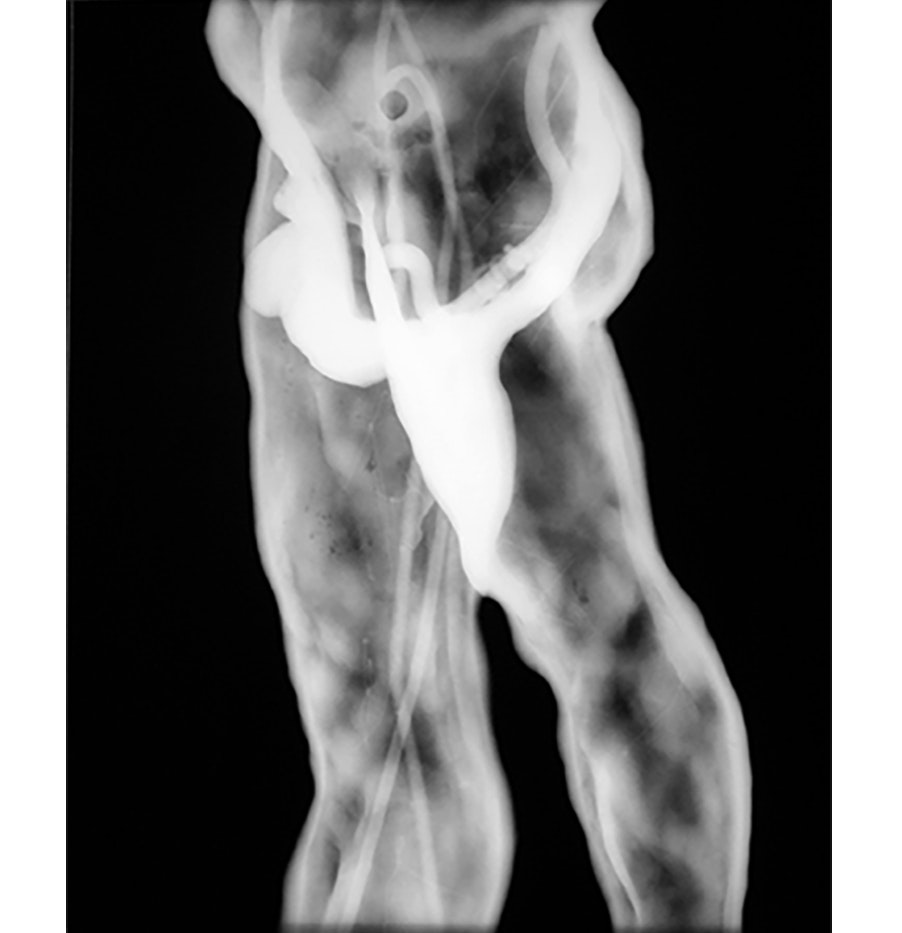 Alt text for the image