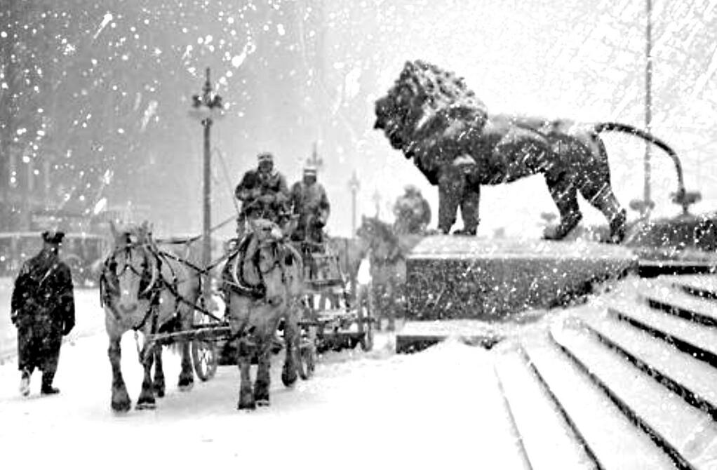Lions and horses during snowstorm in 1925