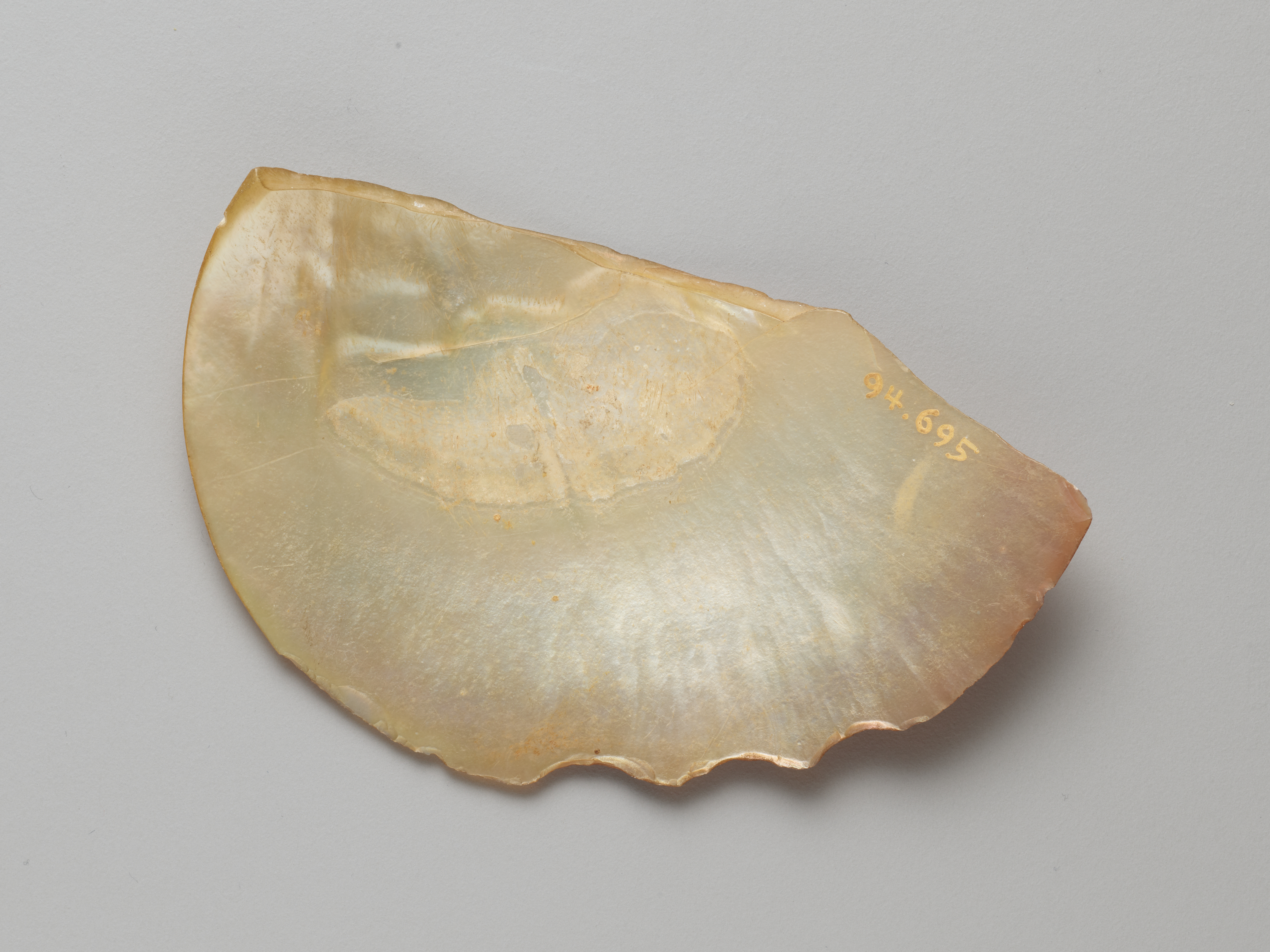 J16536 Int Press 300ppi 3000px Srgb Jpeg