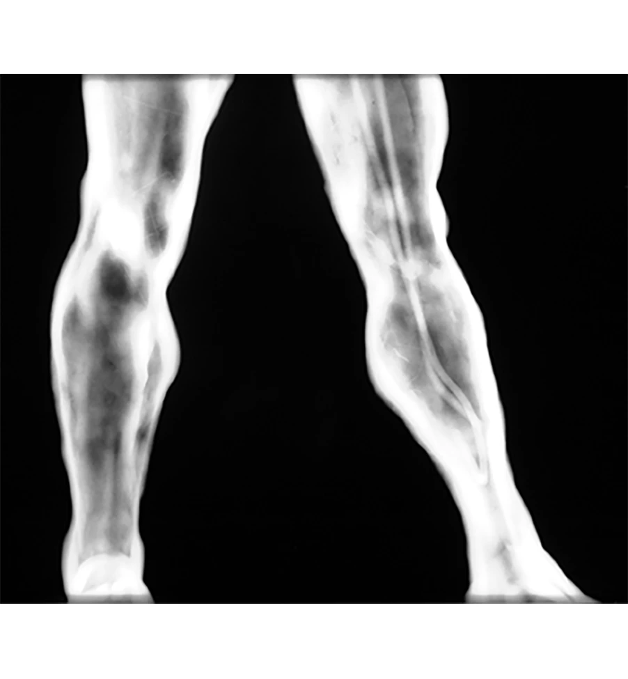 Alt text for the image