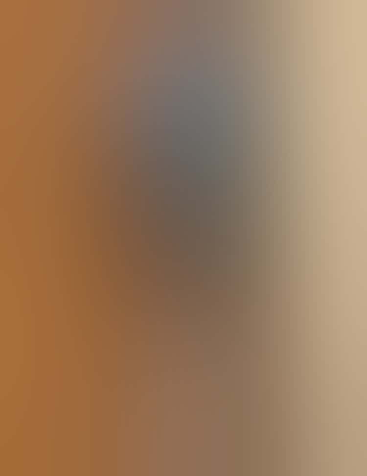 IMG 2642
