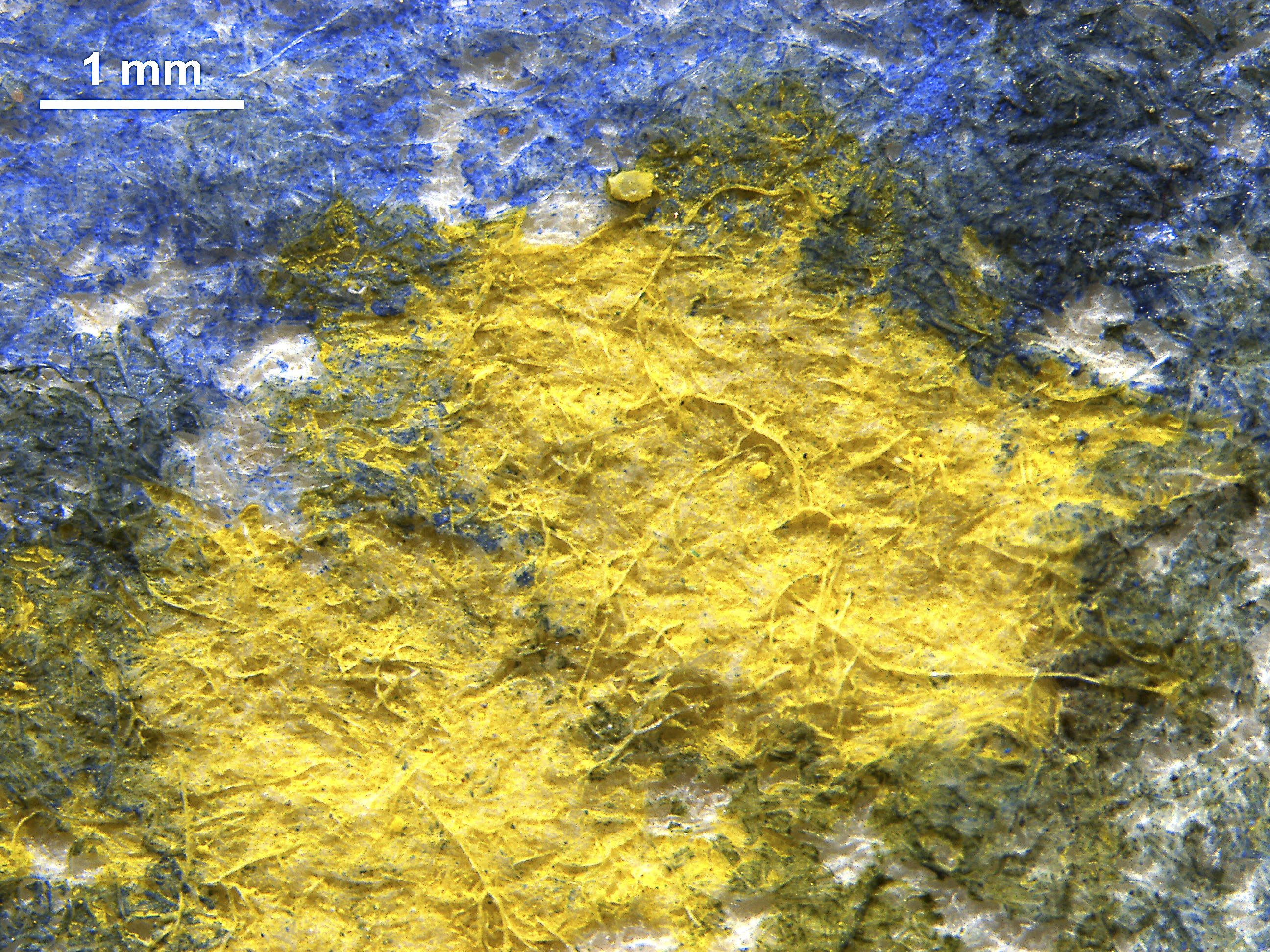 Microscopic image of a pigment used in a painting.