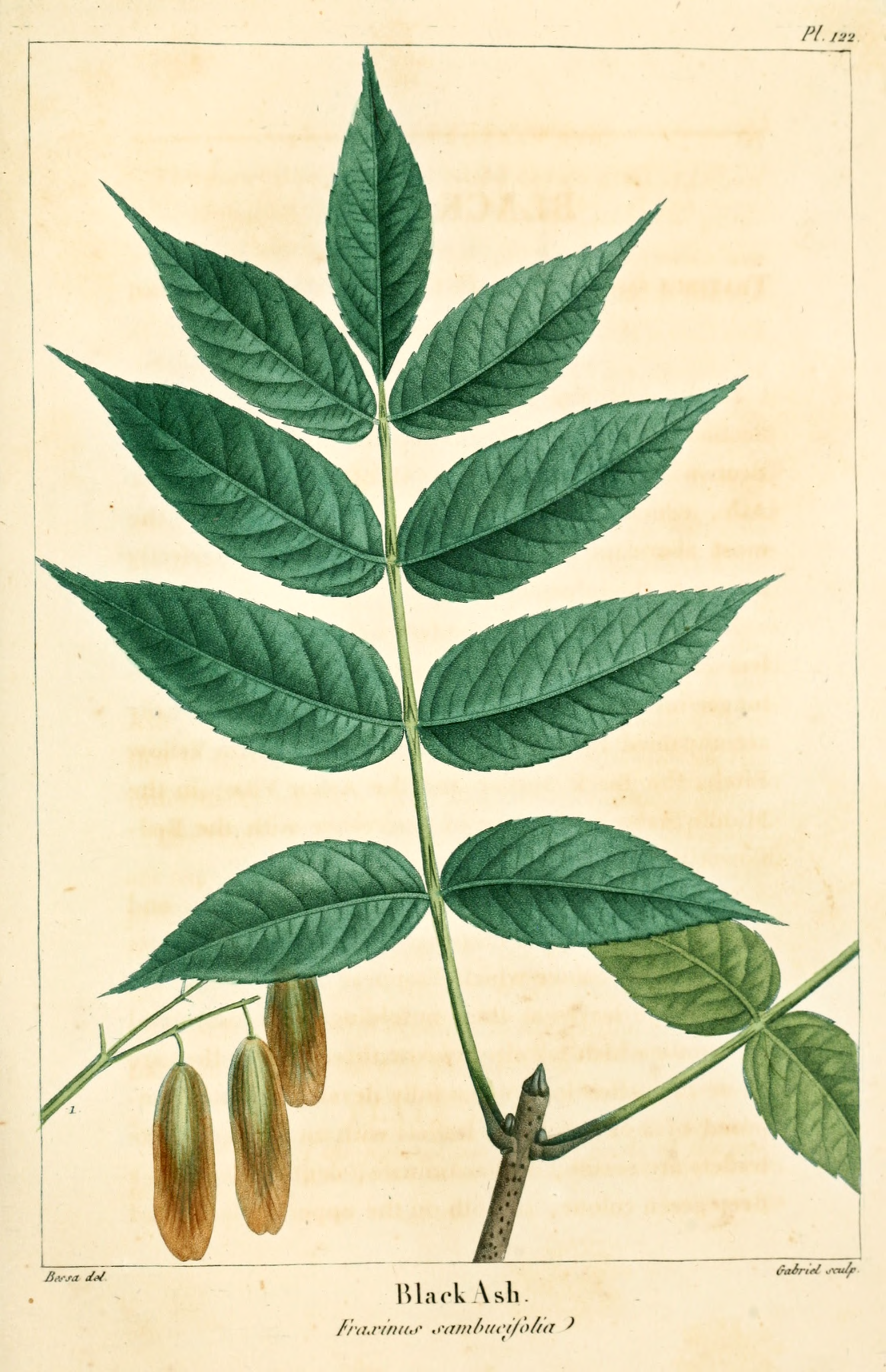 Seeding the Future Kelly Church Shares Her Art The Art Institute of