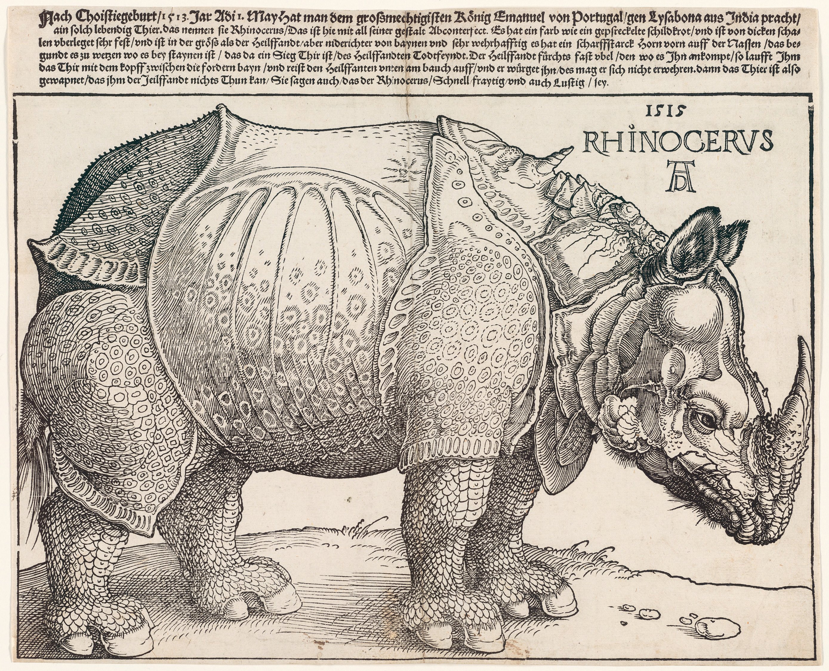 1939.247 Albrecht Durer The Rhinoceros