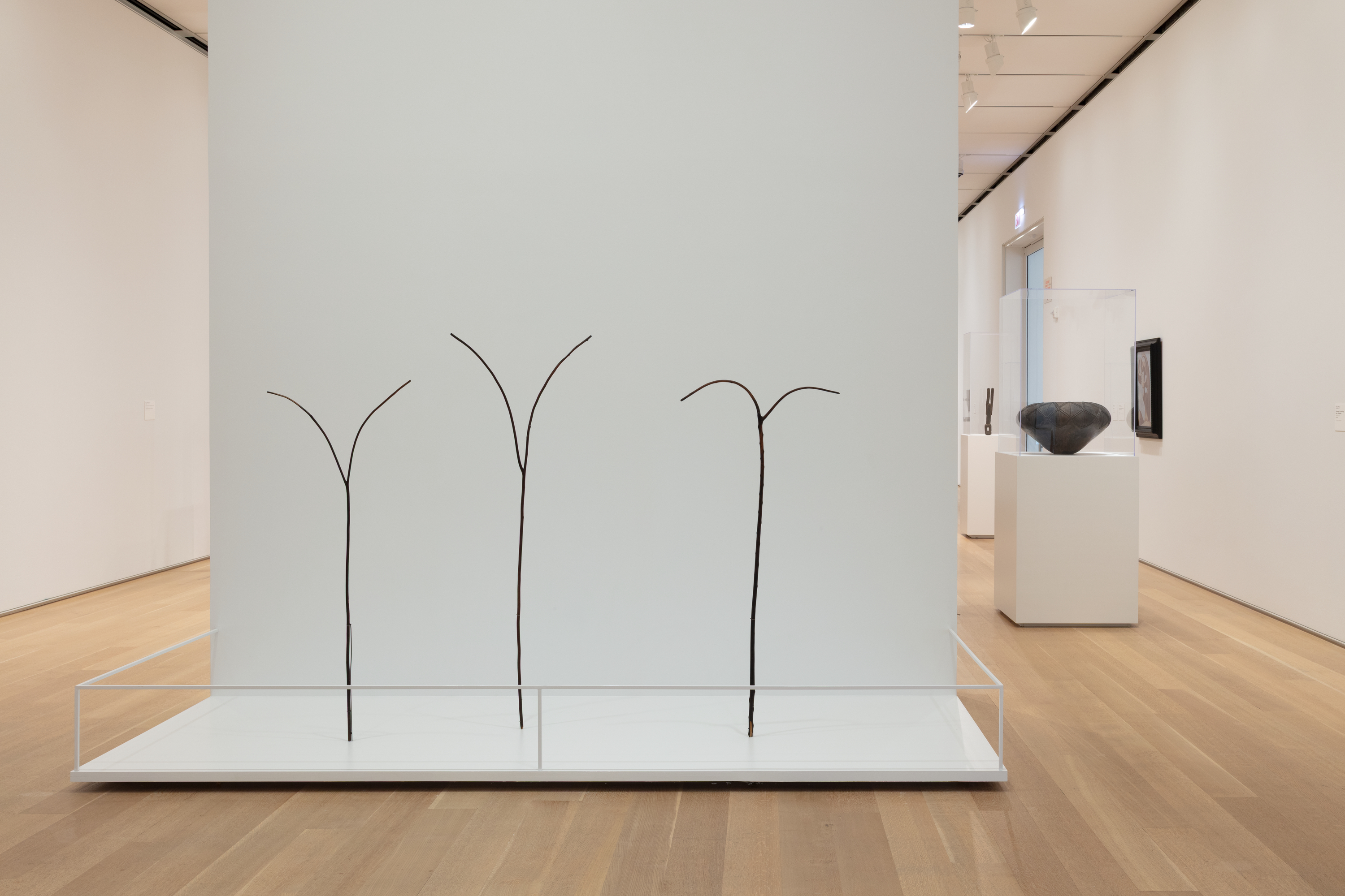 Photo in a white art gallery of three staffs displayed side by side and upright. Each has a slender base with two branching upper portions, uniformly slim and delicate.