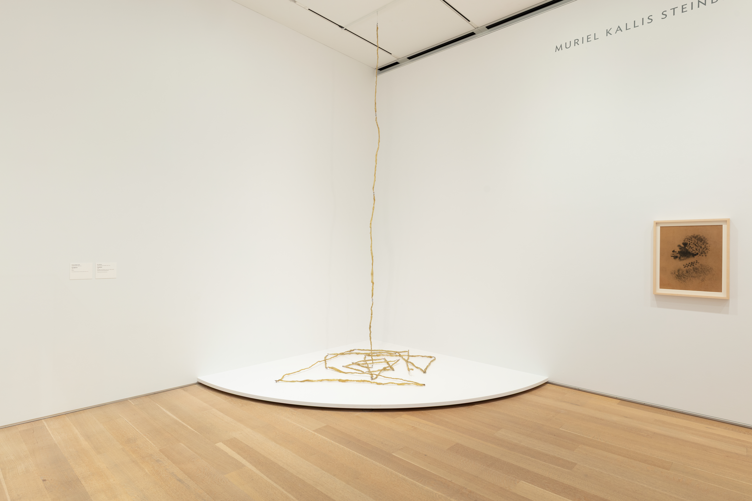 Photo shows an installation in a white art gallery of a long, gold chain extending downward from the ceiling to pool on the floor.