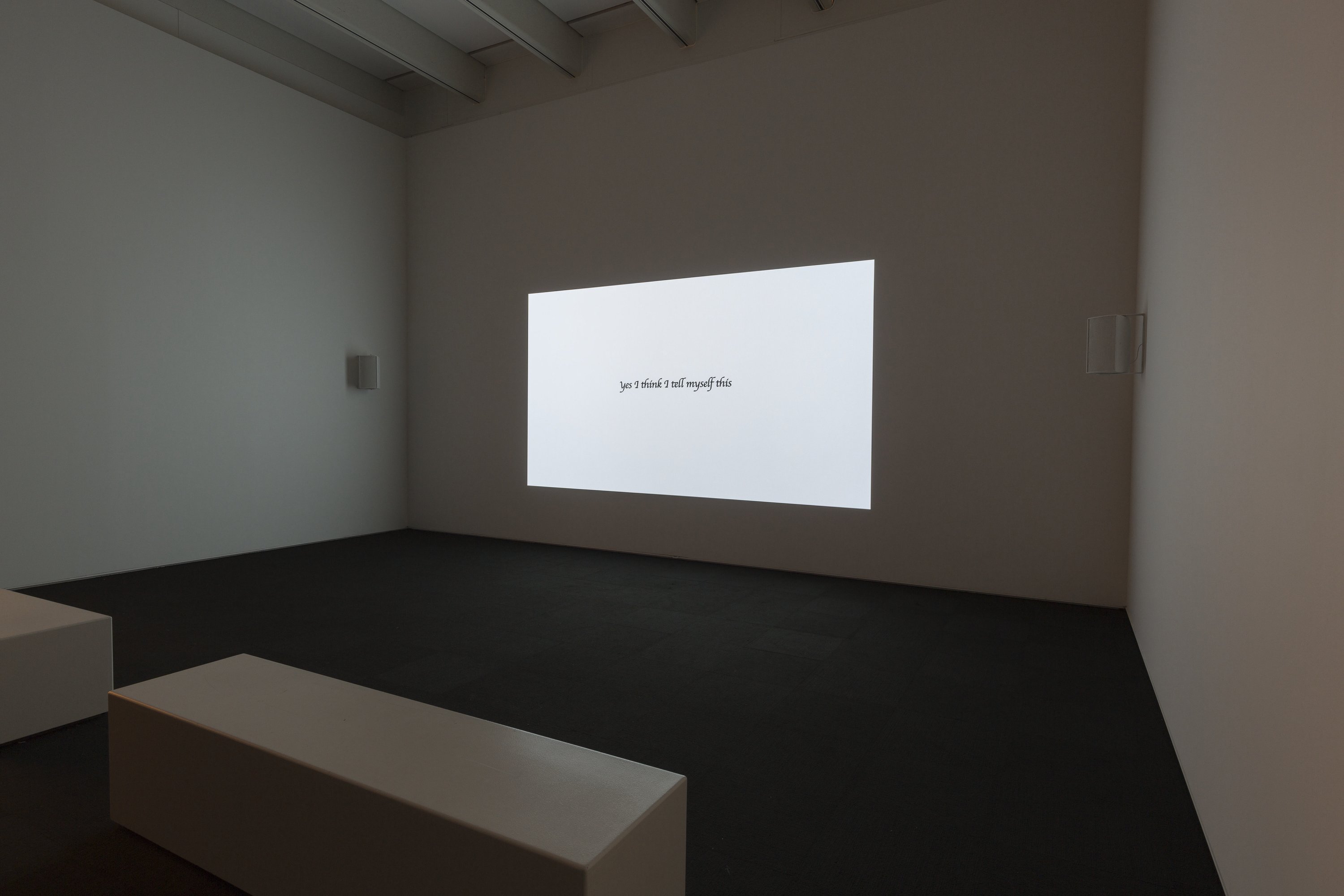 2016.330 Nothing Is Enough Frances Stark