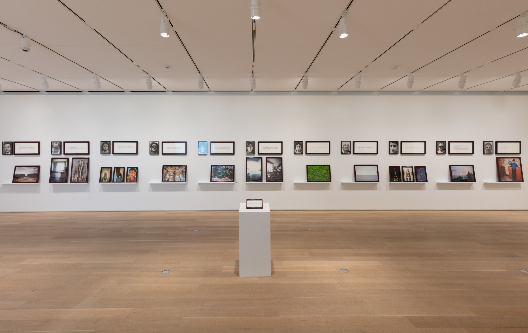 Sophie Calle: Because—The Blind | The Art Institute of Chicago