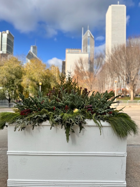 Photo shows an outdoor planter filled with evergreens against a city skyline.