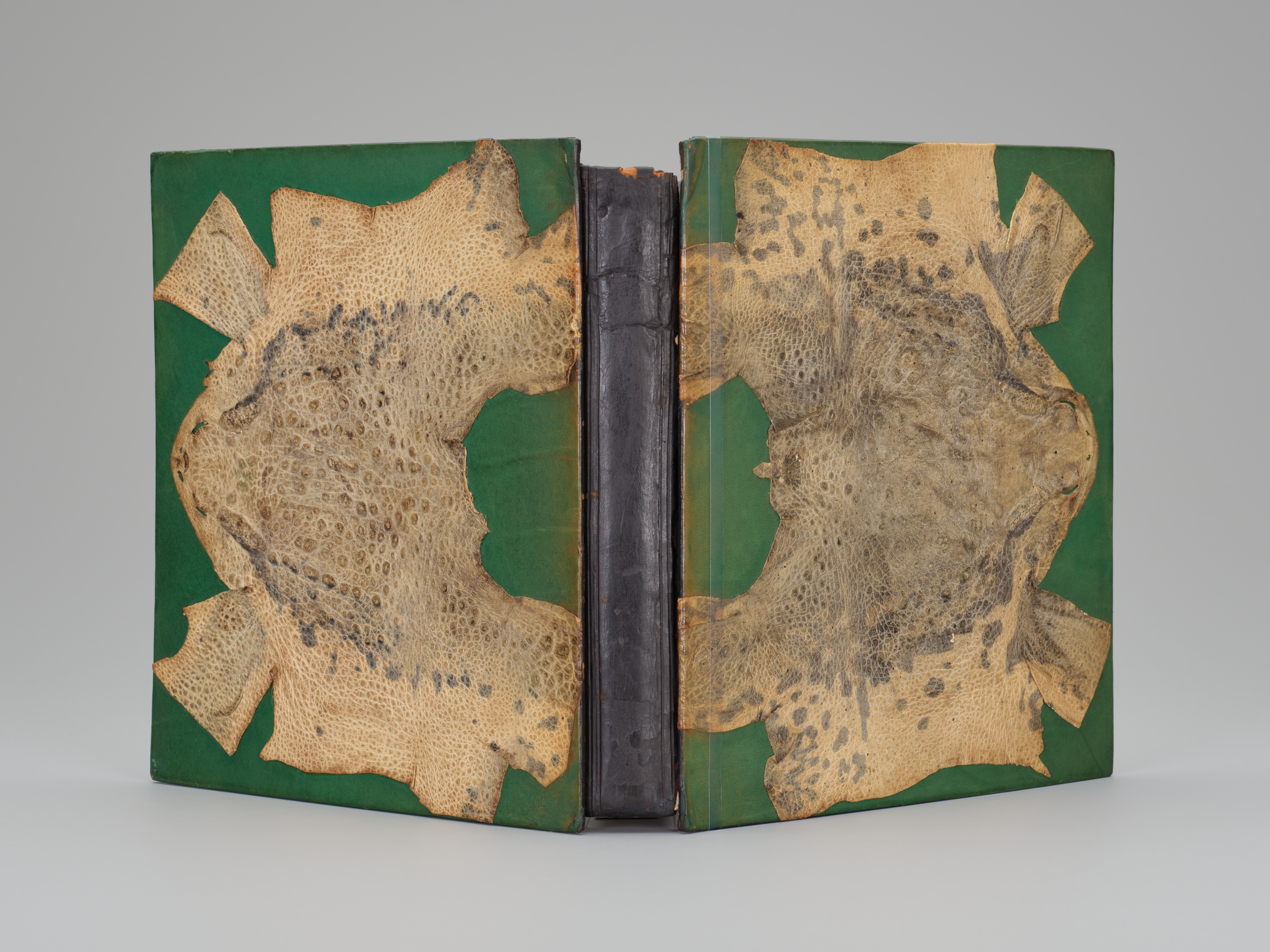 A book with a green cover and black spine, propped open and standing so that the viewer sees both covers and the spine, but not the pages. Affixed to both covers is what seems to be a mottled piece of symmetrical but oddly shaped leather, each roughly the mirror image of the other. (These are actually frog skins.)