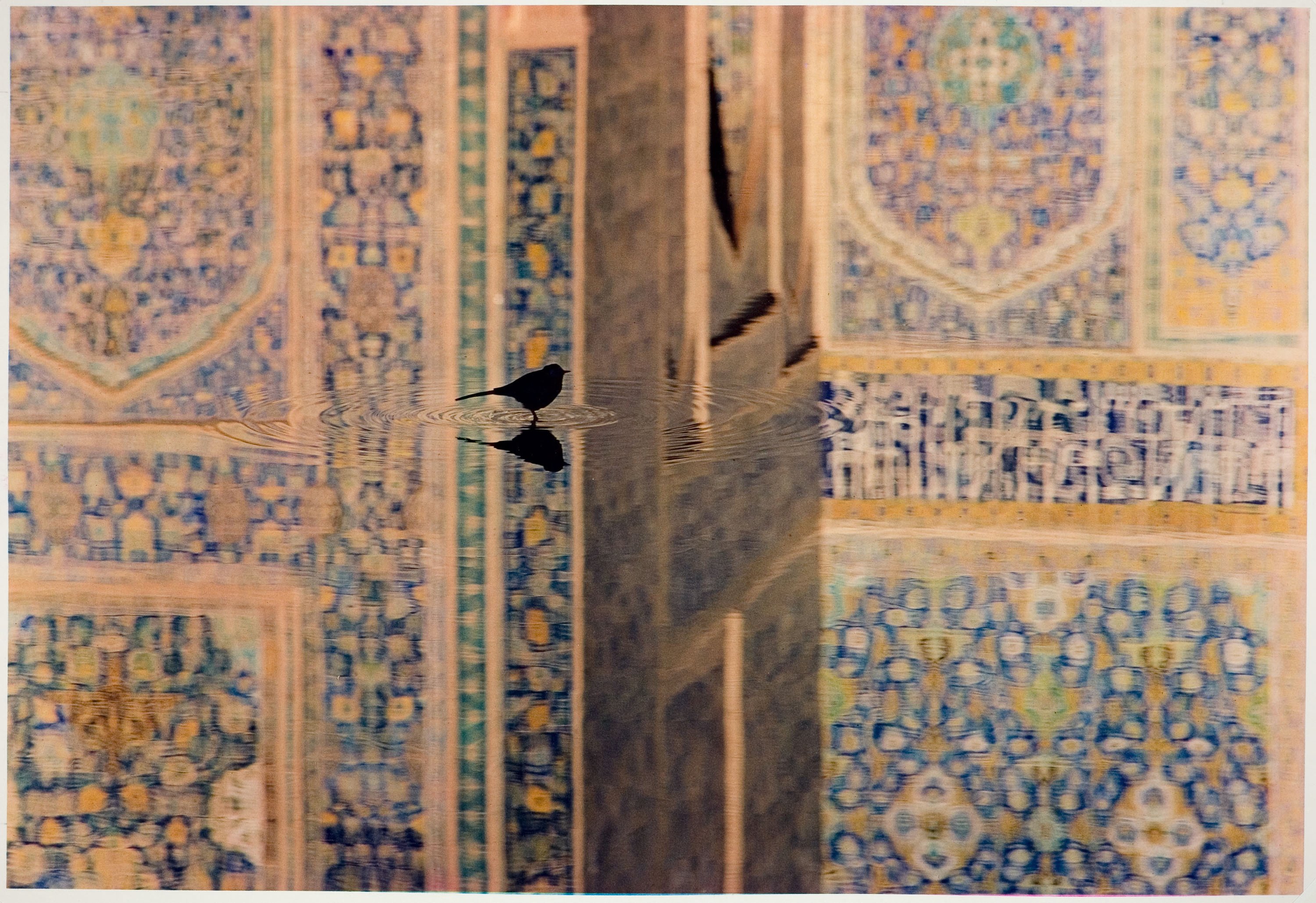 1989.134.6 Jay Maisel Bird In Iran