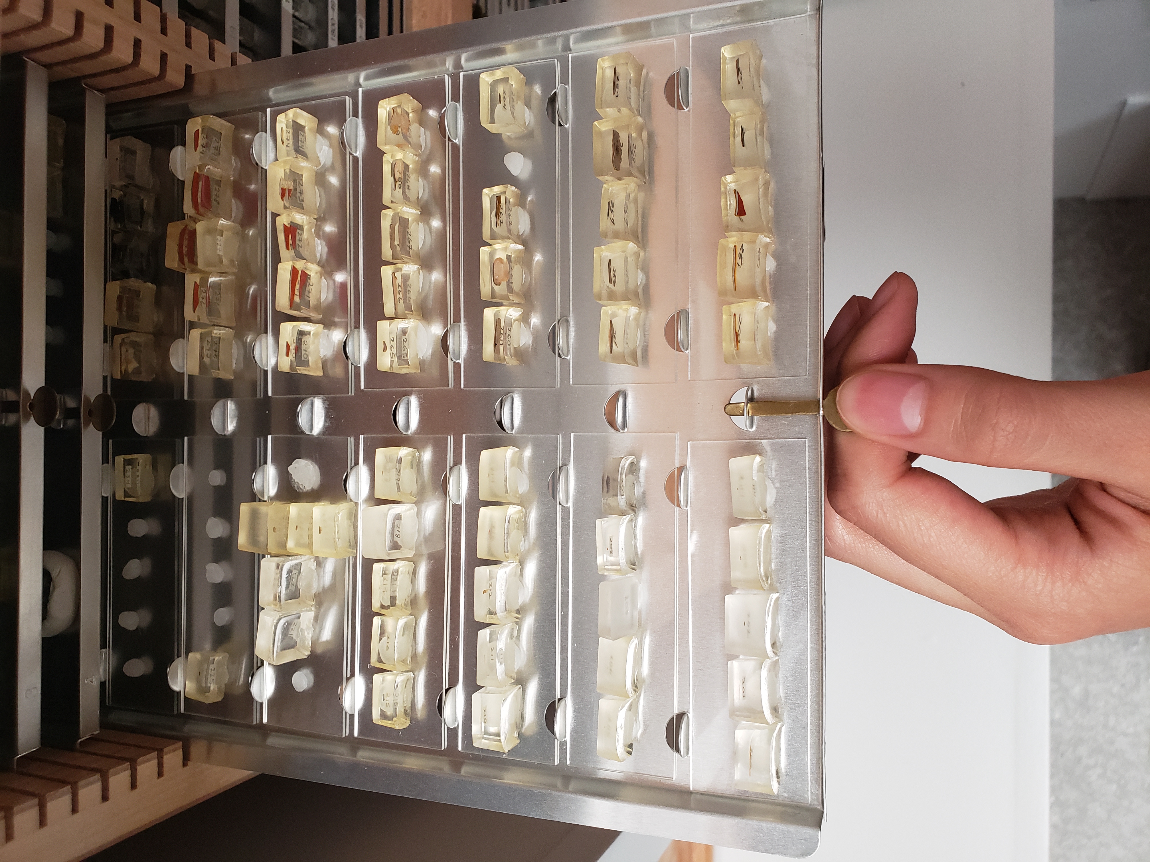 The Diverse Range Of Samples Sizes Raised Some Storage Challenges