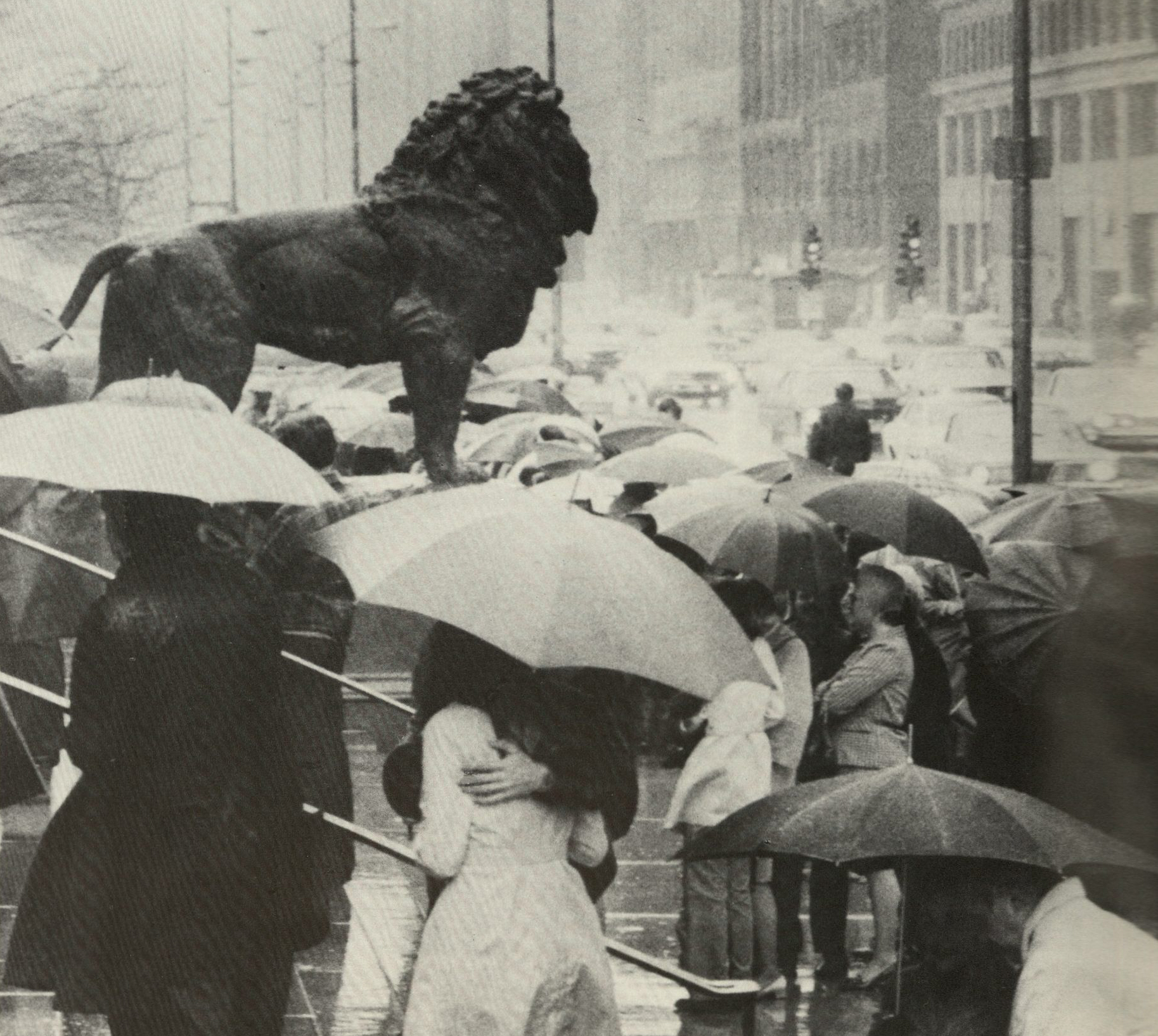 1972 Aic Lions Rainy Day