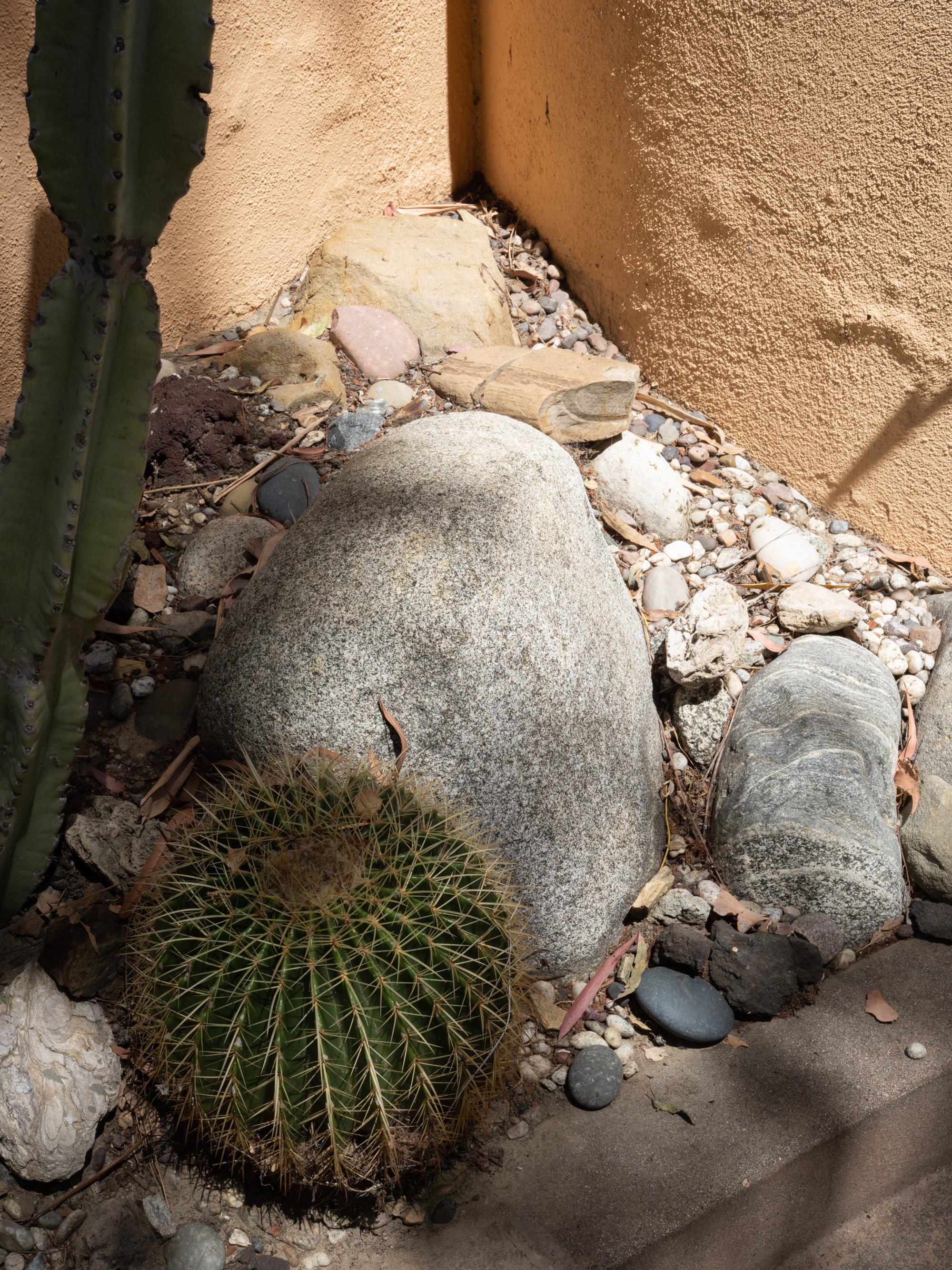 Ireland Goff Struckus 2953