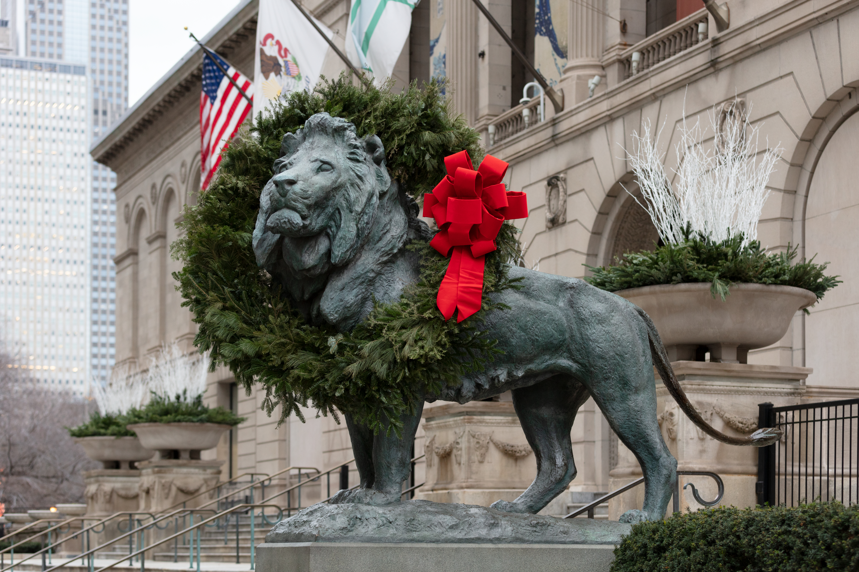 Photo shows a large bronze lion adorned with an evergreen wreath outside the Art Institute of Chicago.