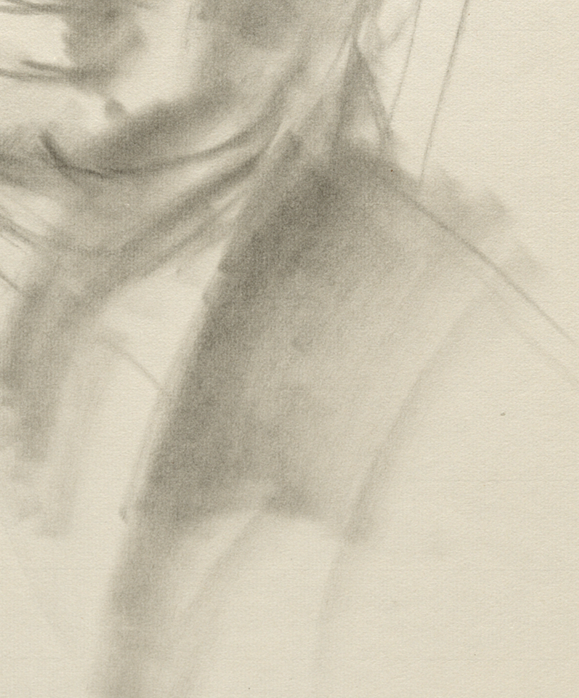 Top left shows part of a human face in gray, with the lower cheek and a curved line for the mouth; the eyes and forehead are not visible. Moving downward, shaded areas define the jawline and neck. Right side shows a broad gray shape forming the shoulder and upper torso against a light cream background. The face and shoulder are shown at close range, filling most of the frame.