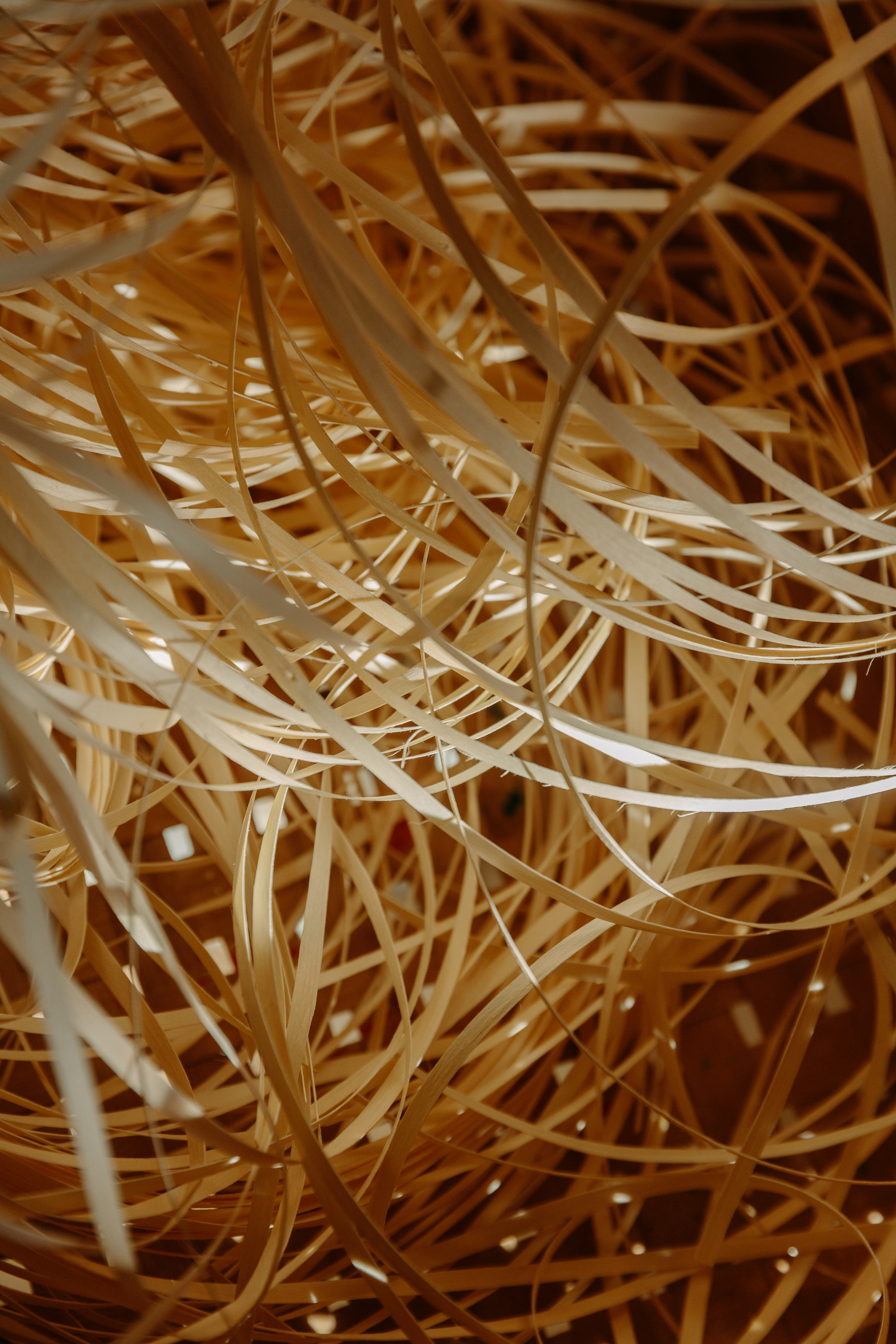A color photo of a tangle of light-colored, thin strips of wood.