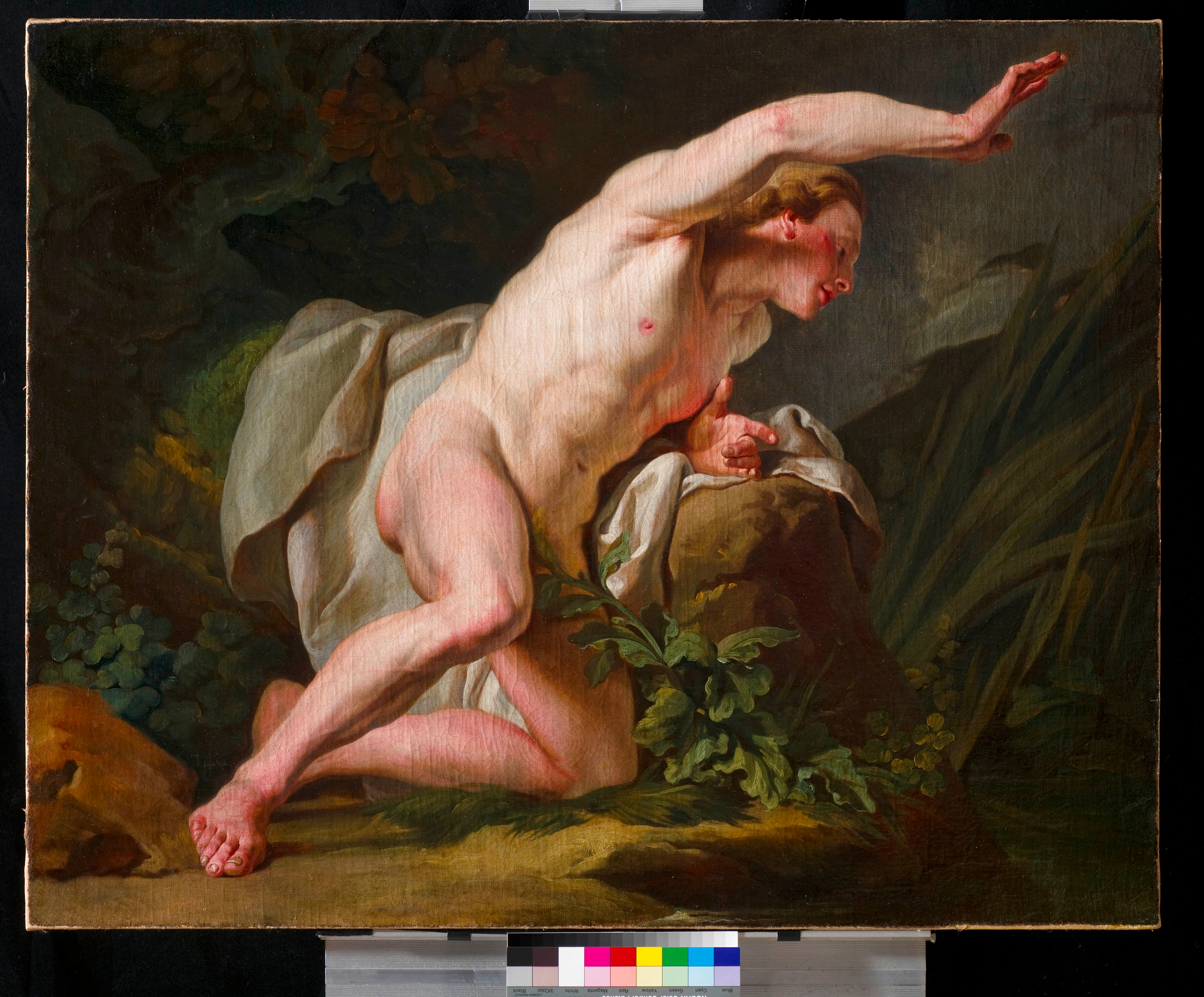 Lepicie P F 81 1 Press 300ppi 3000px Srgb Jpeg