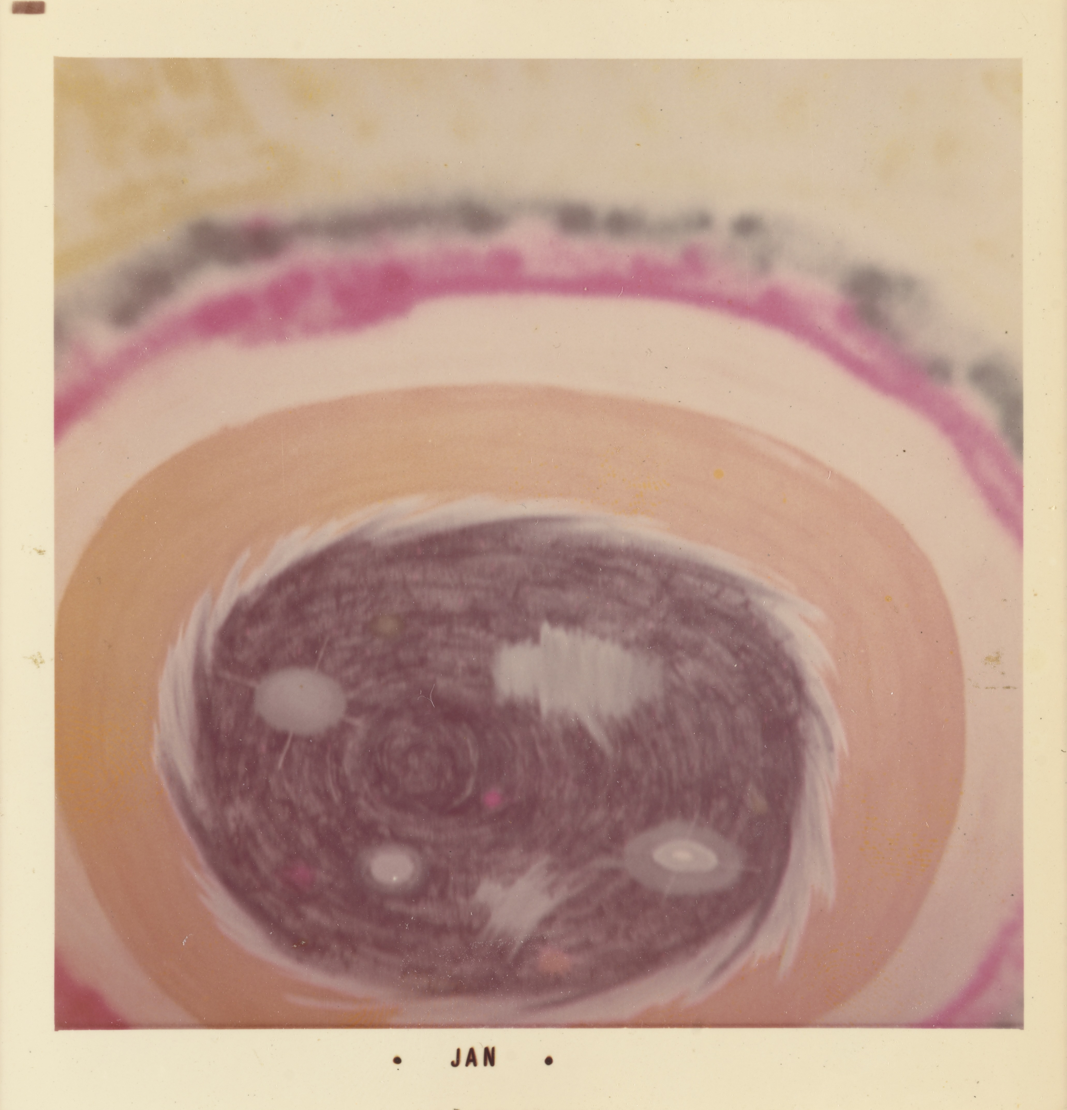 Photograph of a mural featuring a large, concentric form resembling a stylized planetary or galactic body. The central area is a dark oval with swirling textures in purple and gray, dotted with small white and pink shapes. Surrounding bands in white, orange, pink, and yellow radiate outward, fading toward the edges. The white border of the print includes the text “• JAN •” centered along the bottom edge.