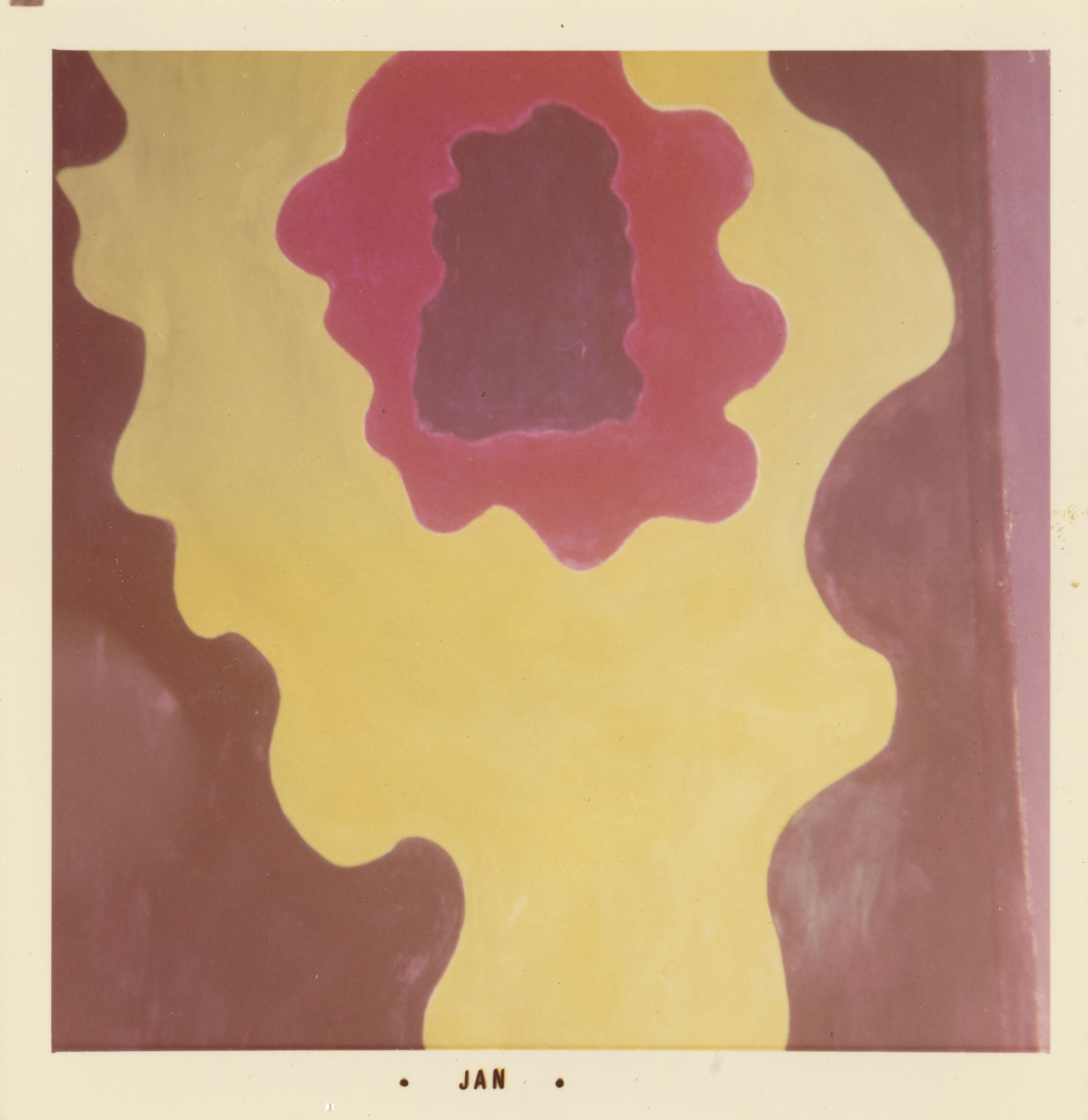 Photograph of an abstract mural composed of soft-edged, organic shapes in layered colors. At the center is an irregular maroon form surrounded by a ring of bright pink, then a wider yellow layer that fills most of the frame. The edges of the composition blend into a muted maroon background. The white border of the print includes the text “• JAN •” centered along the bottom edge.