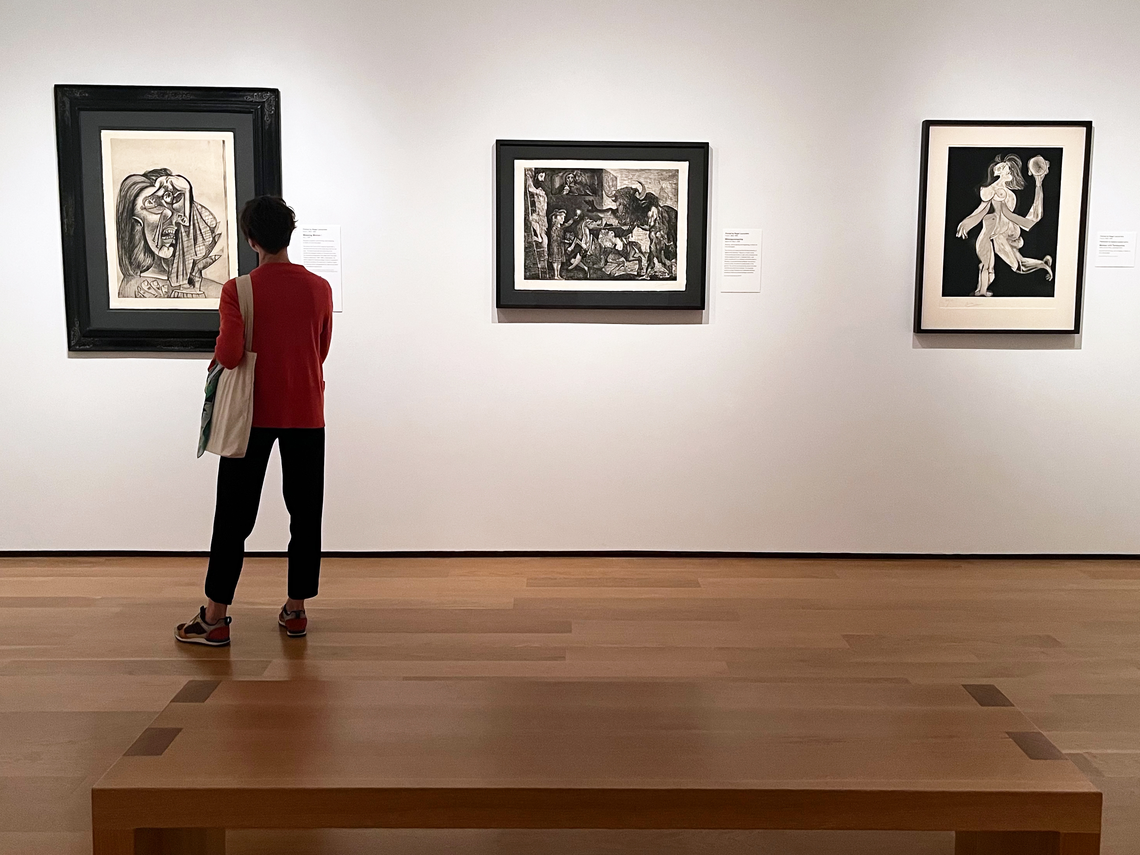 Picasso Gallery Horizontal 3 Rev2