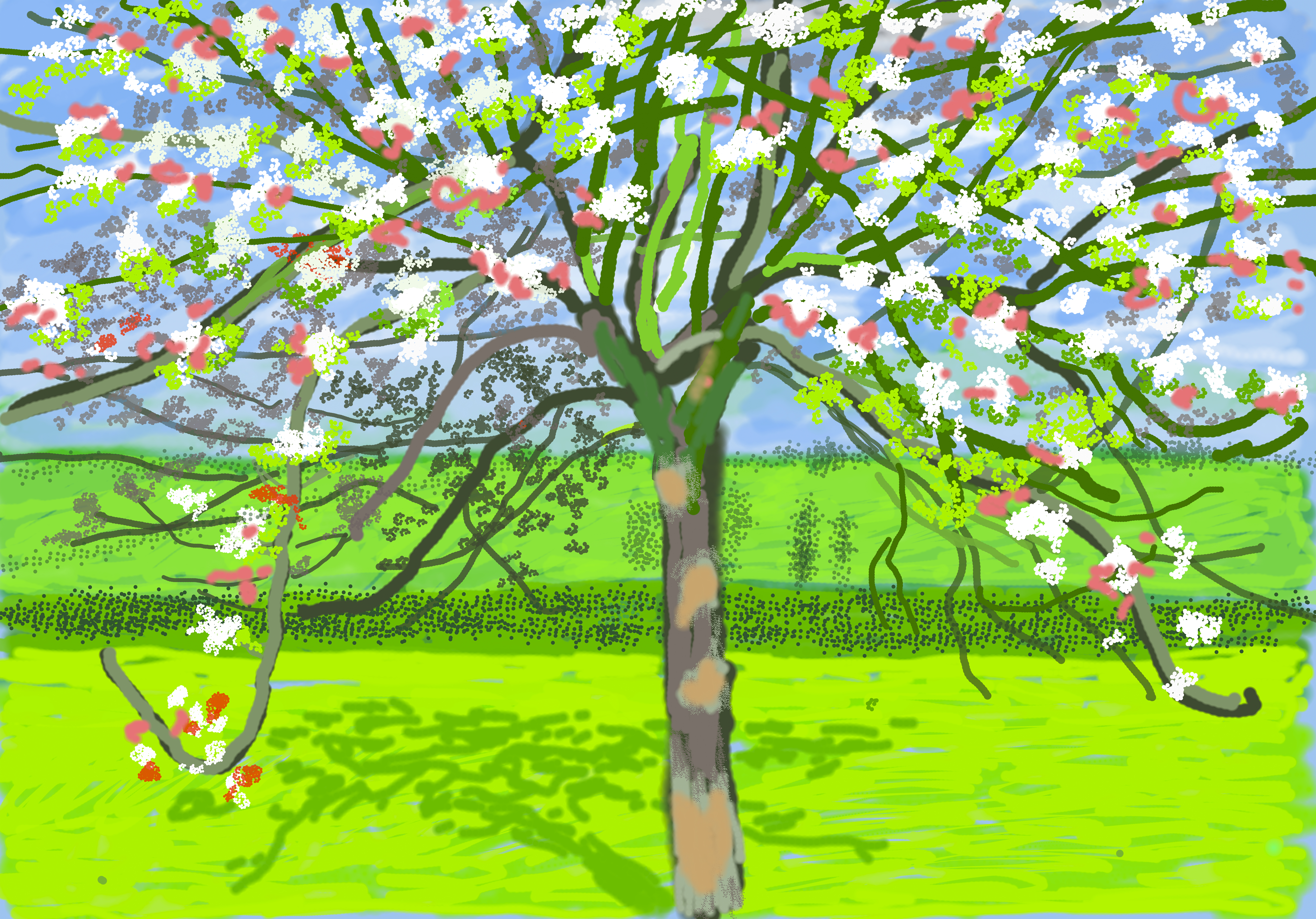 An iPad painting of a tree with long drooping, outstretched branches and white and pinks blossoms. The sky in the background is a bright blue with few clouds and the ground is a light bright green.