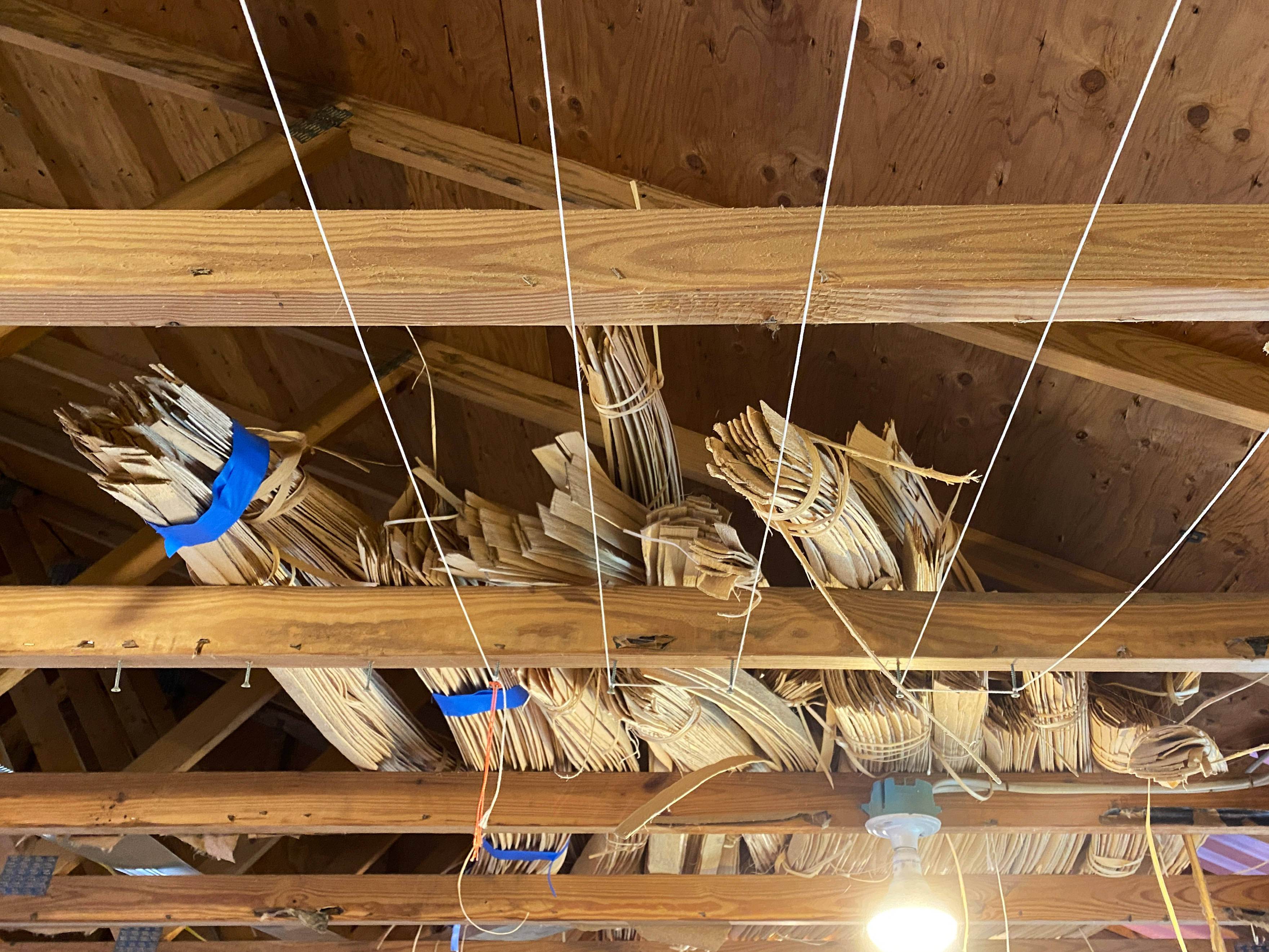 A color photo of the wooden rafters of an open attic space. Tied bundles of blond strips of wood sit atop the rafters.