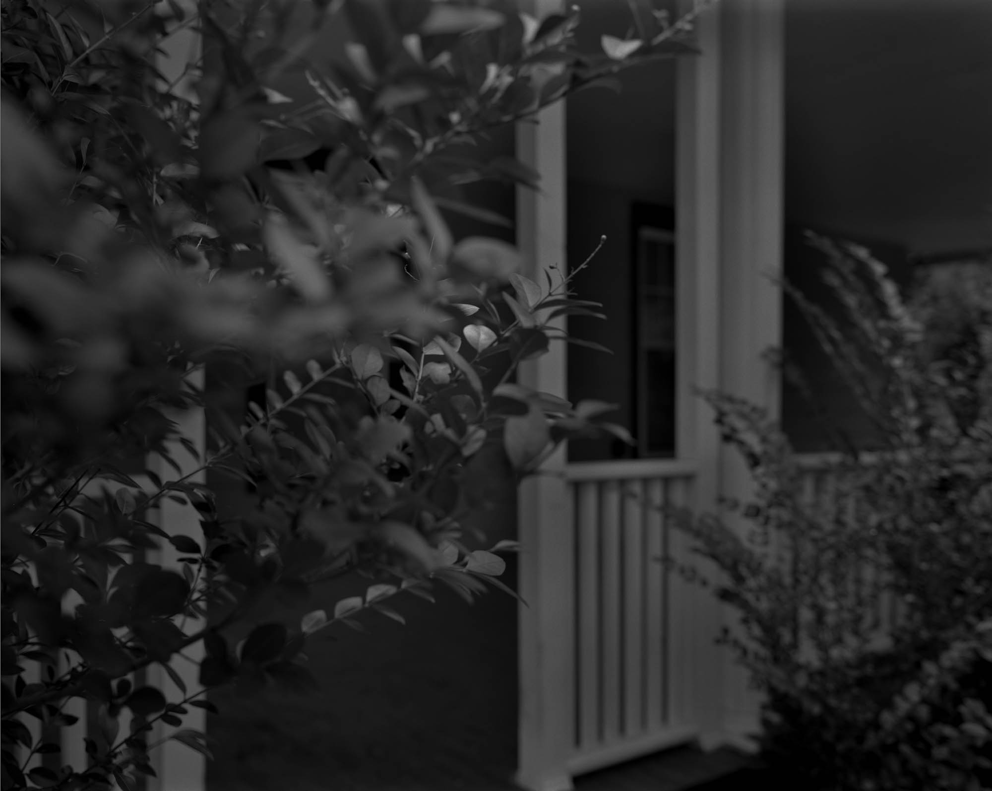 A black and white photo of a white front porch, with leaves from a bush or tree in the foreground.