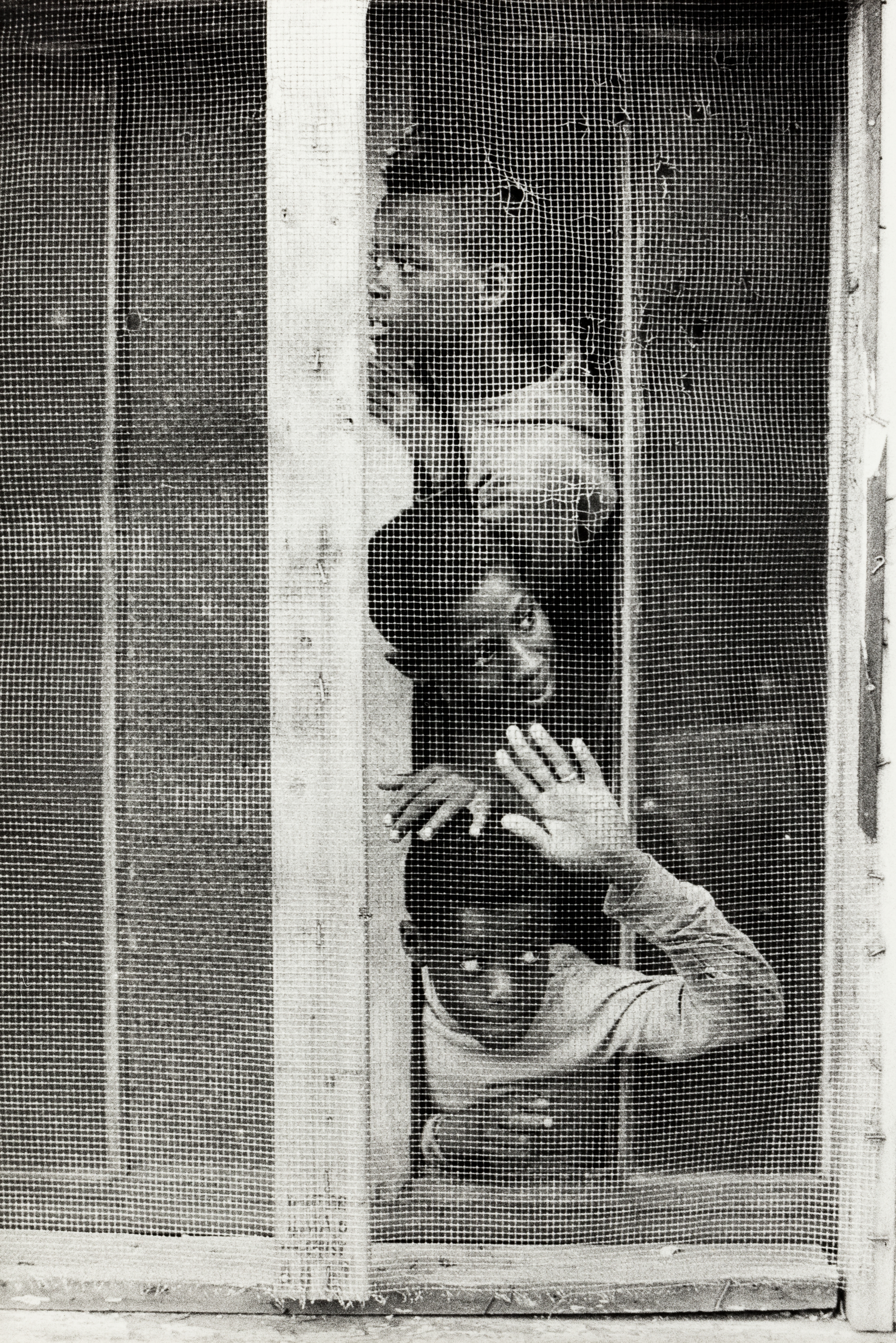 Black-and-white photograph of three boys peering out through a window screen. They are stacked vertically, with one boy at the top, one in the middle looking directly out, and one at the bottom with his hand pressed to the screen. The mesh is worn and torn in spots, partially obscuring their faces but revealing their expressions of curiosity and engagement. The framing is tight, emphasizing their faces and hands behind the screen.