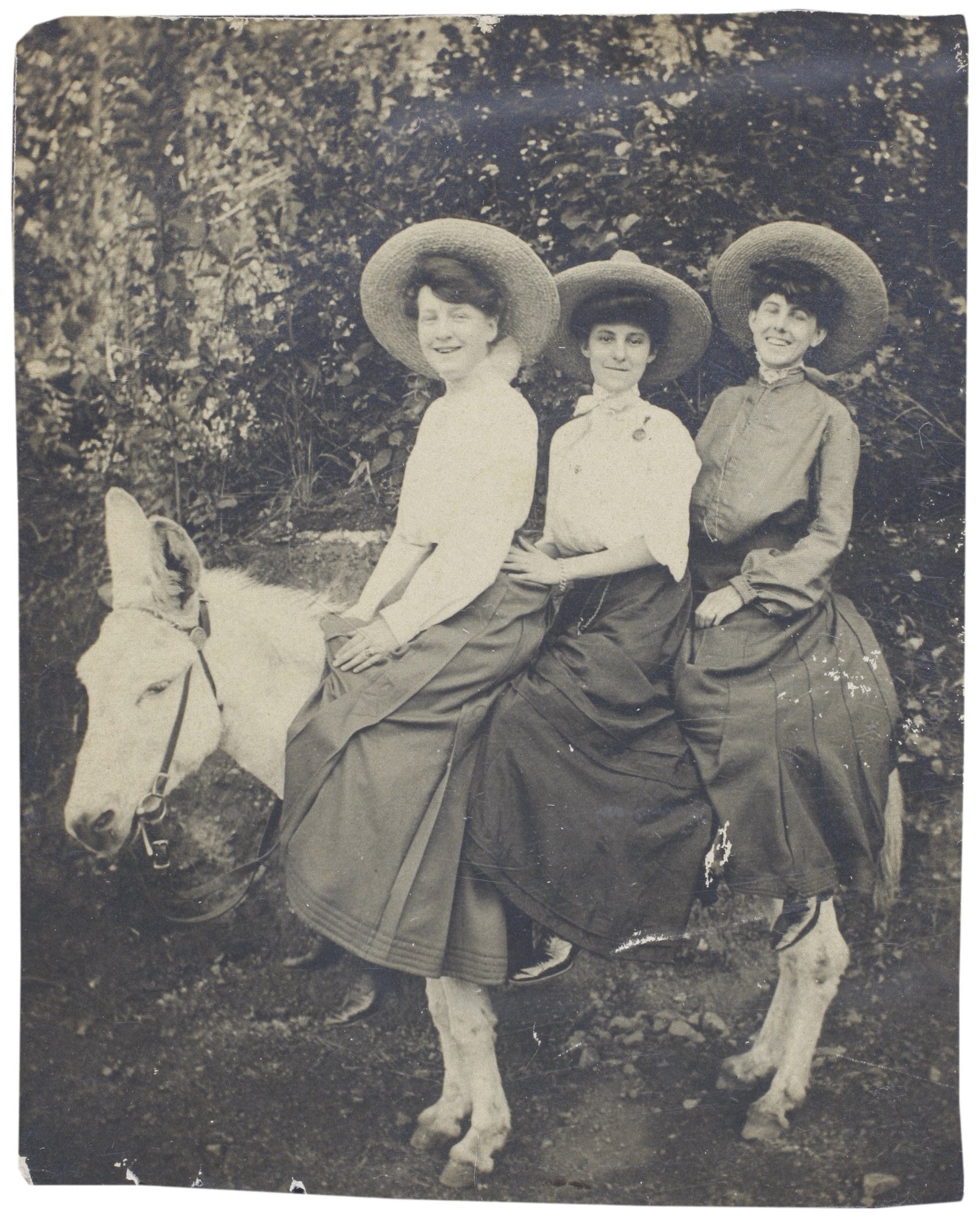 200139.343 Peter Cohen