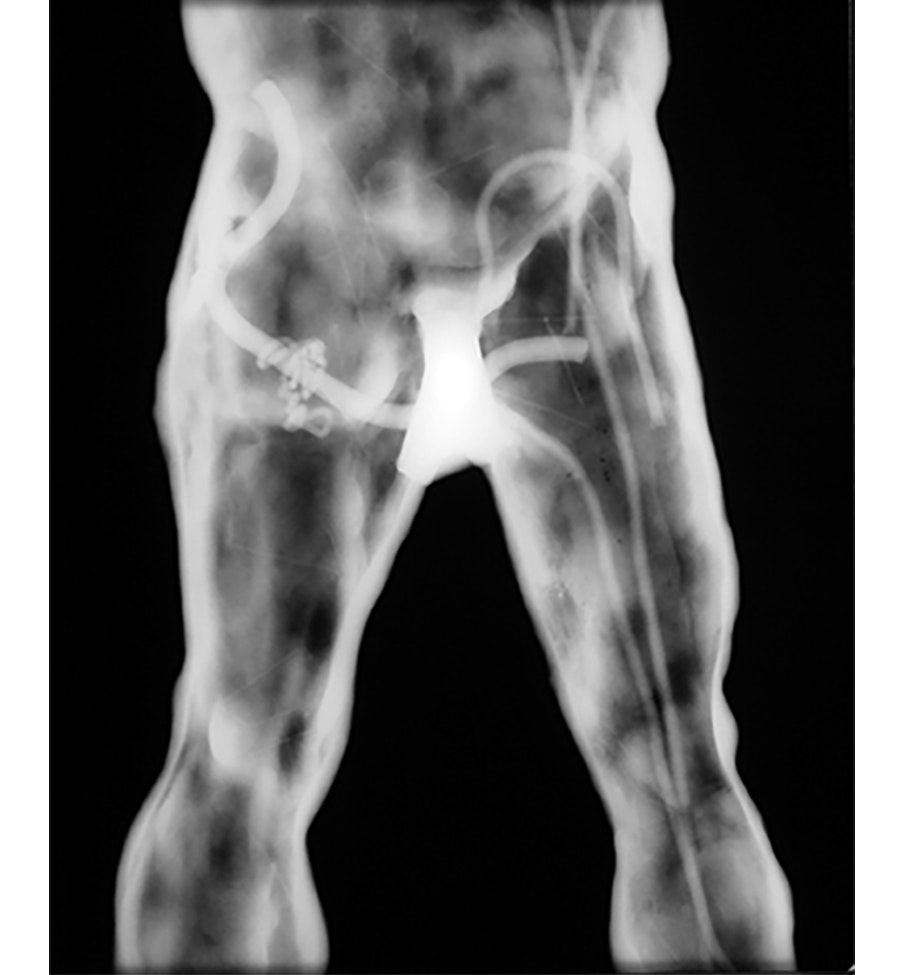 Alt text for the image