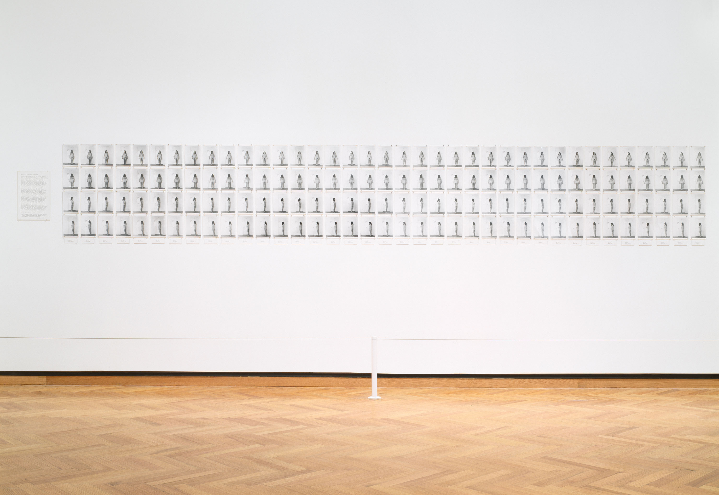 A gallery wall shows a grid of photographs of a naked yound woman.