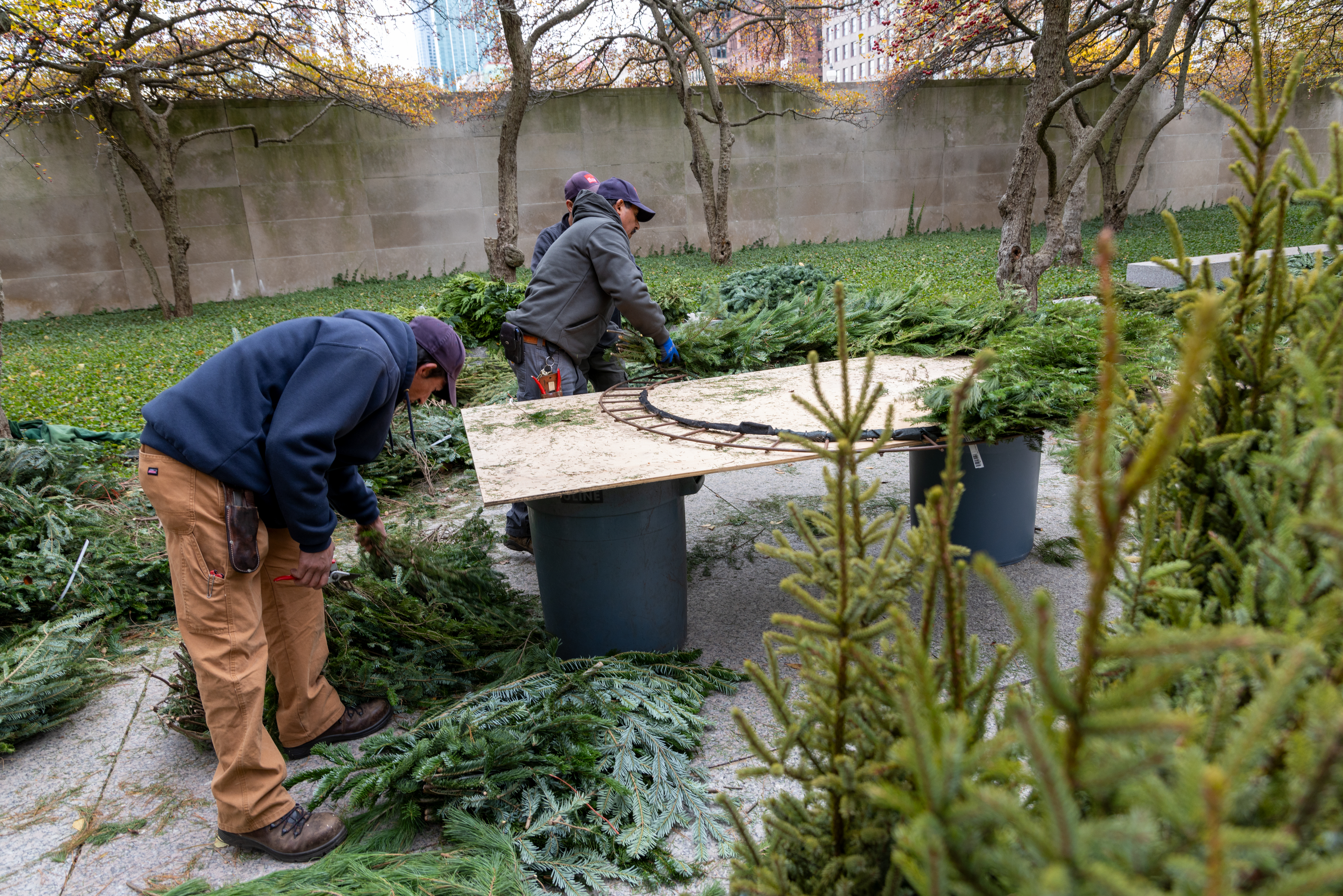 Photo of a group of men working in an outdoor garden, affixing evergreen branches to an iron wreath form.