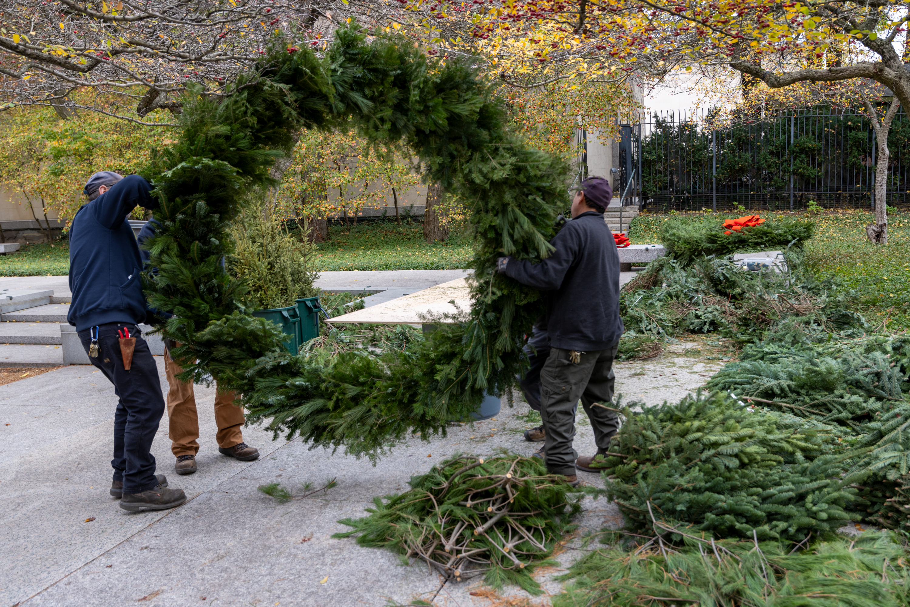 Photo shows four men working together to flip a large evergreen wreath.