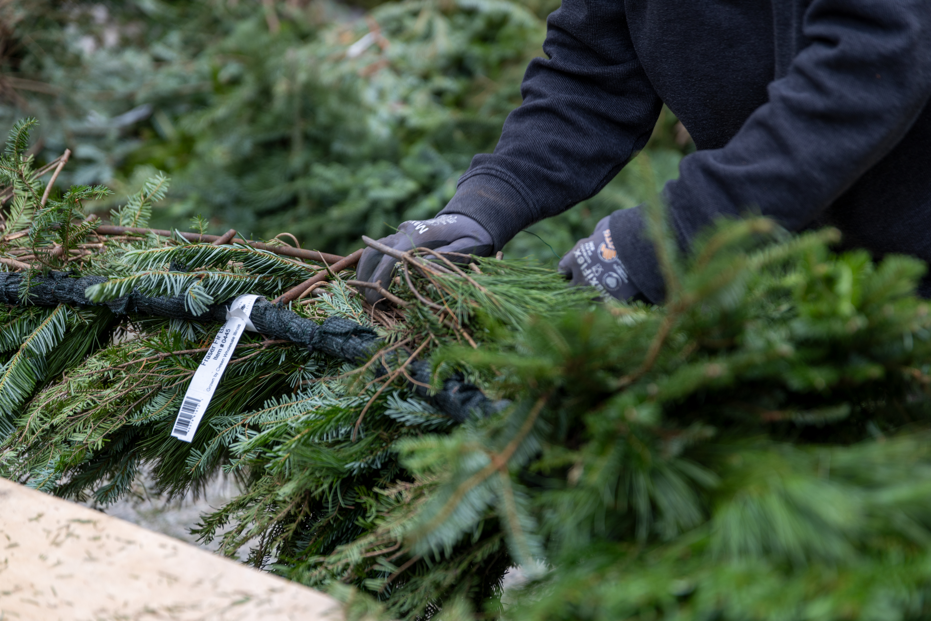 A close-up photo of a pair of gloved hands attaching an evergreen branch to a wreath form.