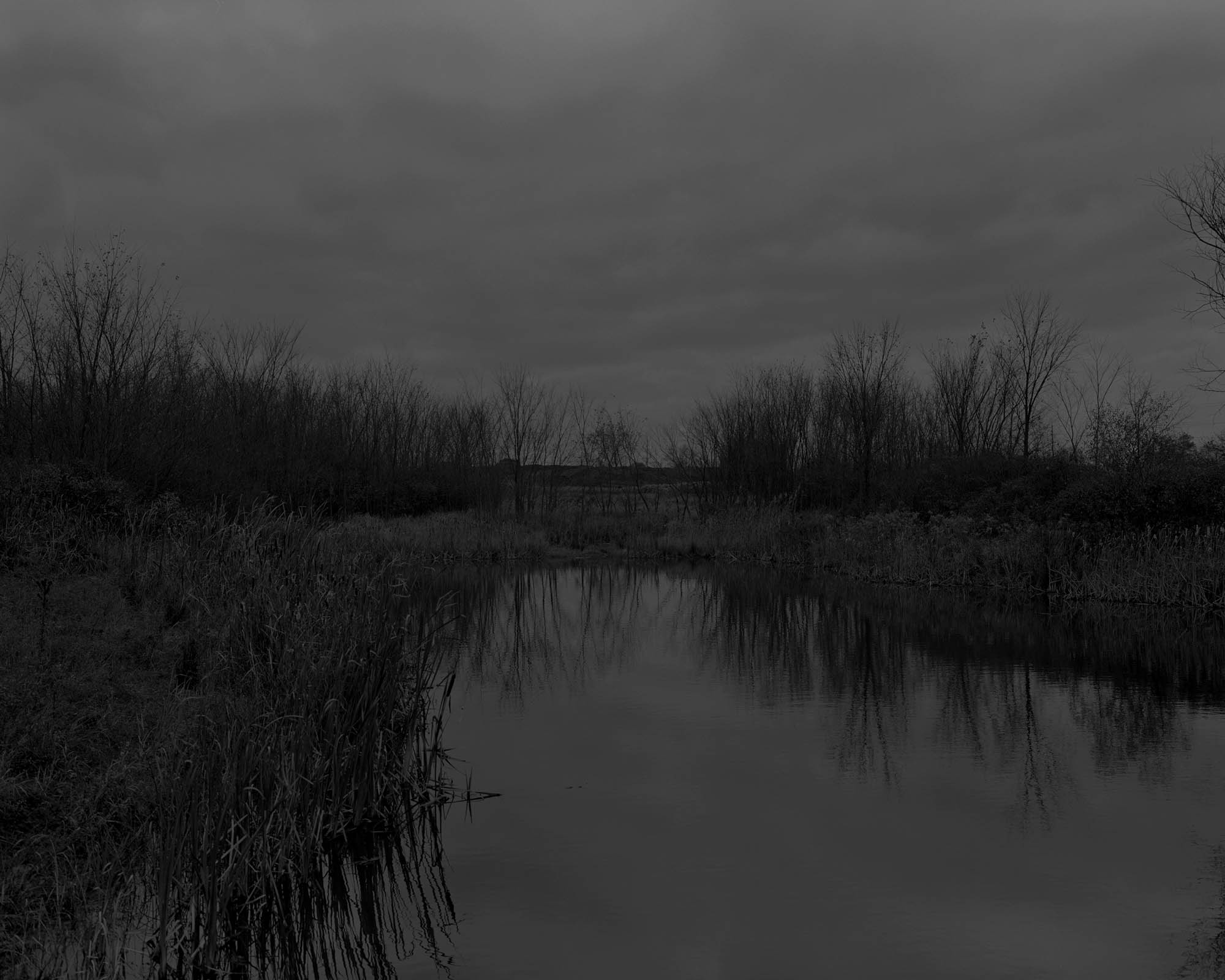 A black and white photo of a marsh.