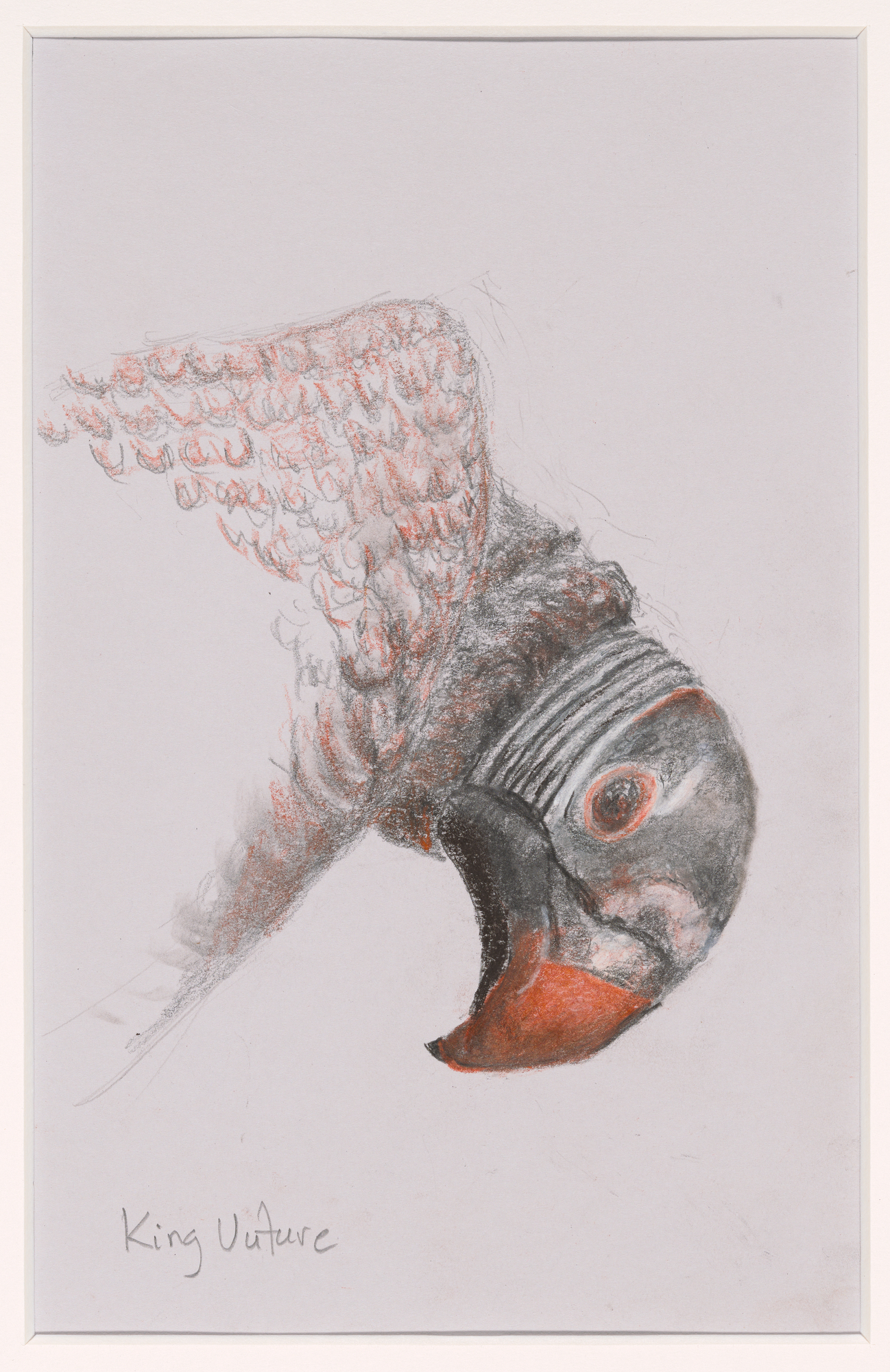 J30066 026 int Web (72ppi, 2000px, sRGB, JPEG) (1)