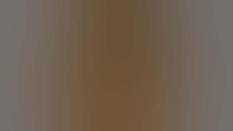 two tiles with continuous floral