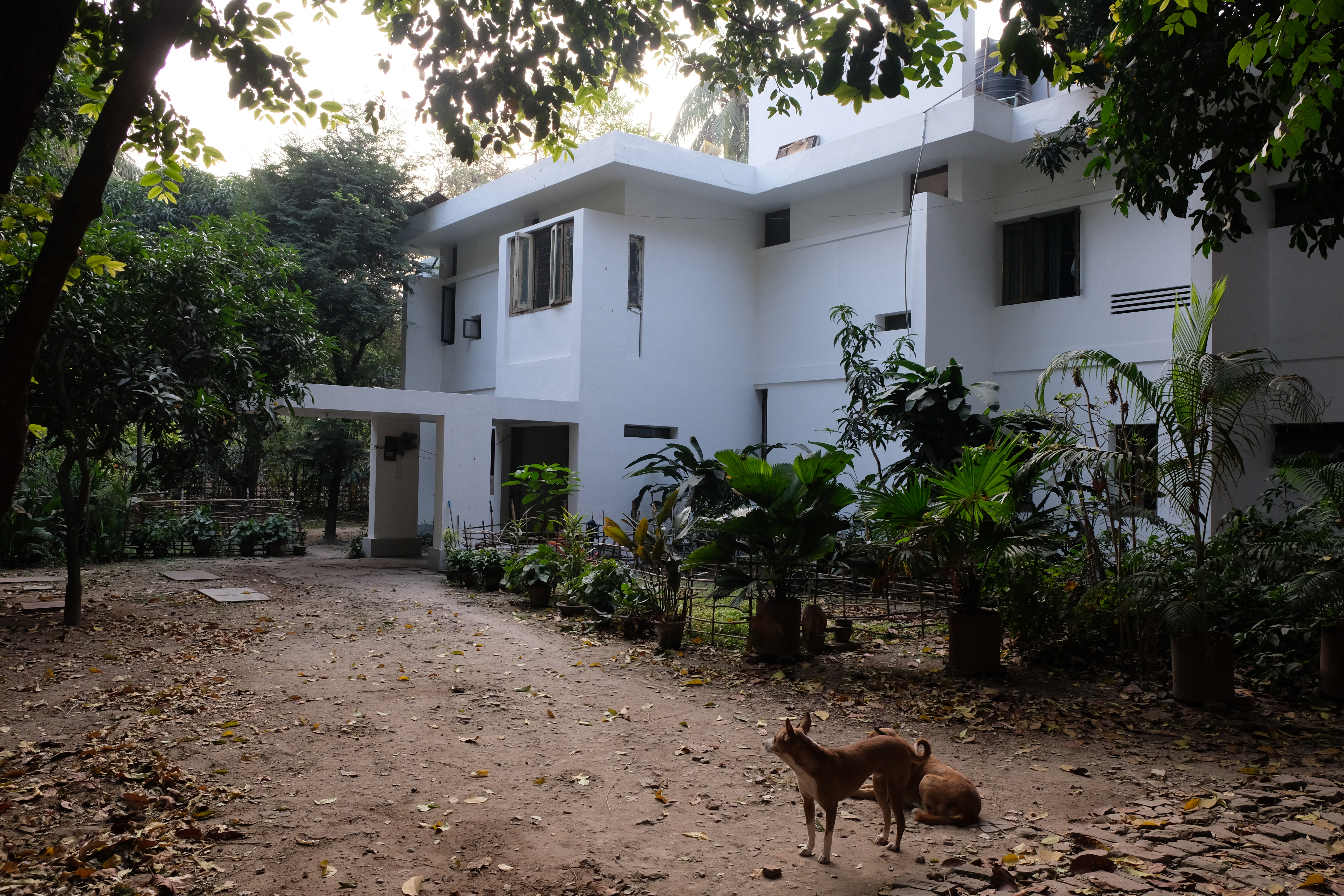Photograph of a starkly white, block-like, two-story modernist home set among lush green foliage with a dog in the foreground and low light filtering through the surrounding trees.
